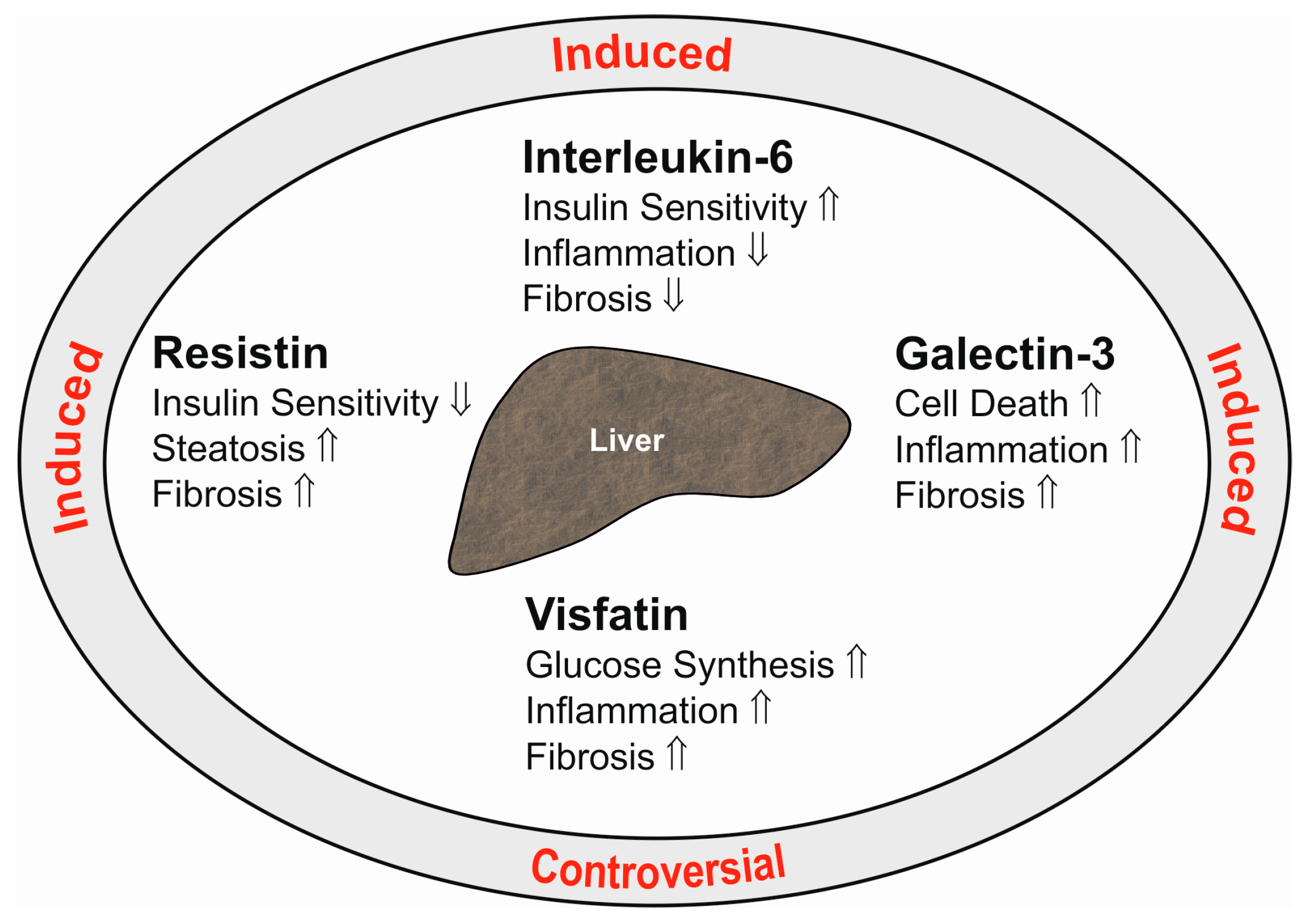 Adipokines in Liver Cirrhosis Adipokines in Liver Cirrhosis