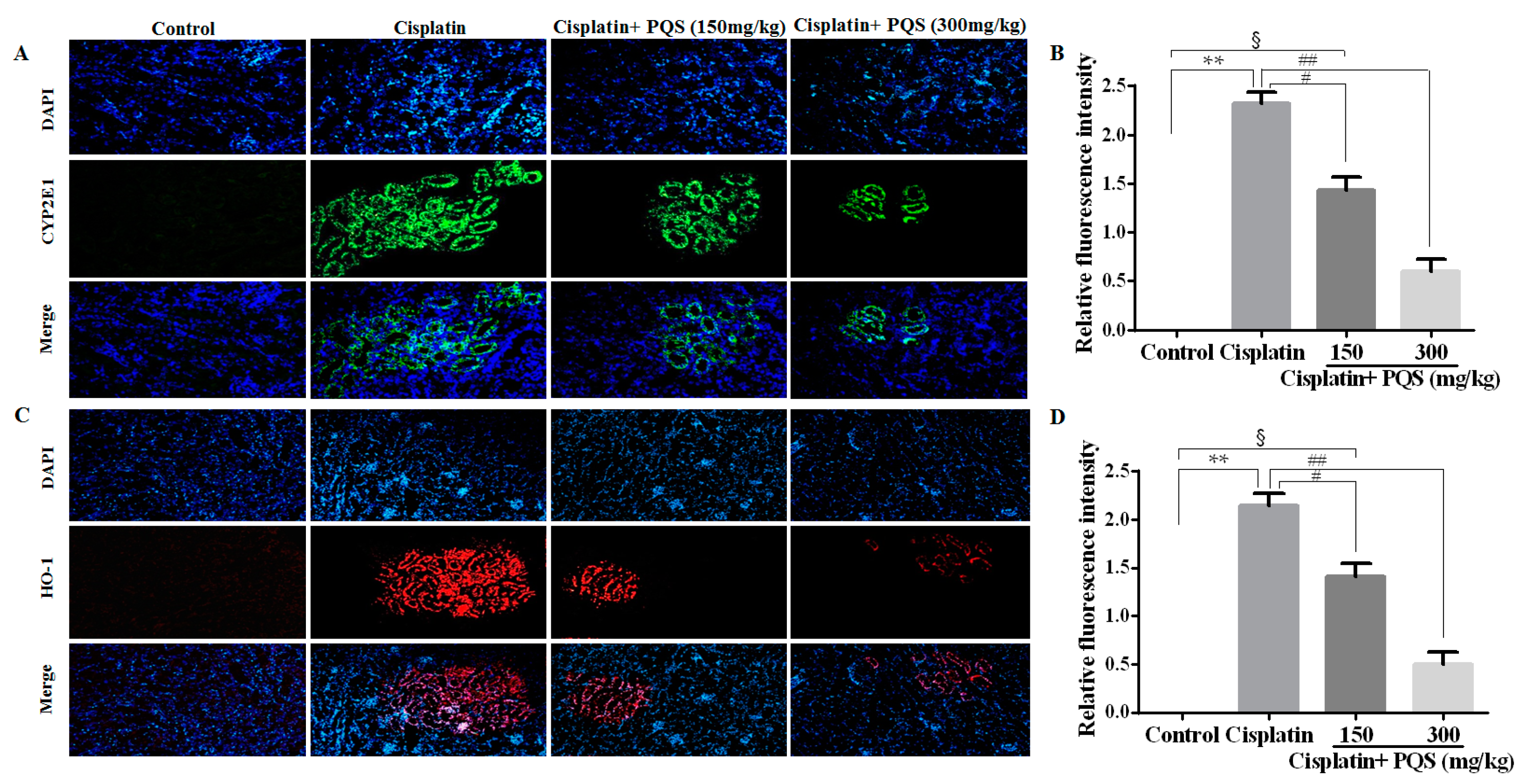 Ijms 18 01407 g003 550