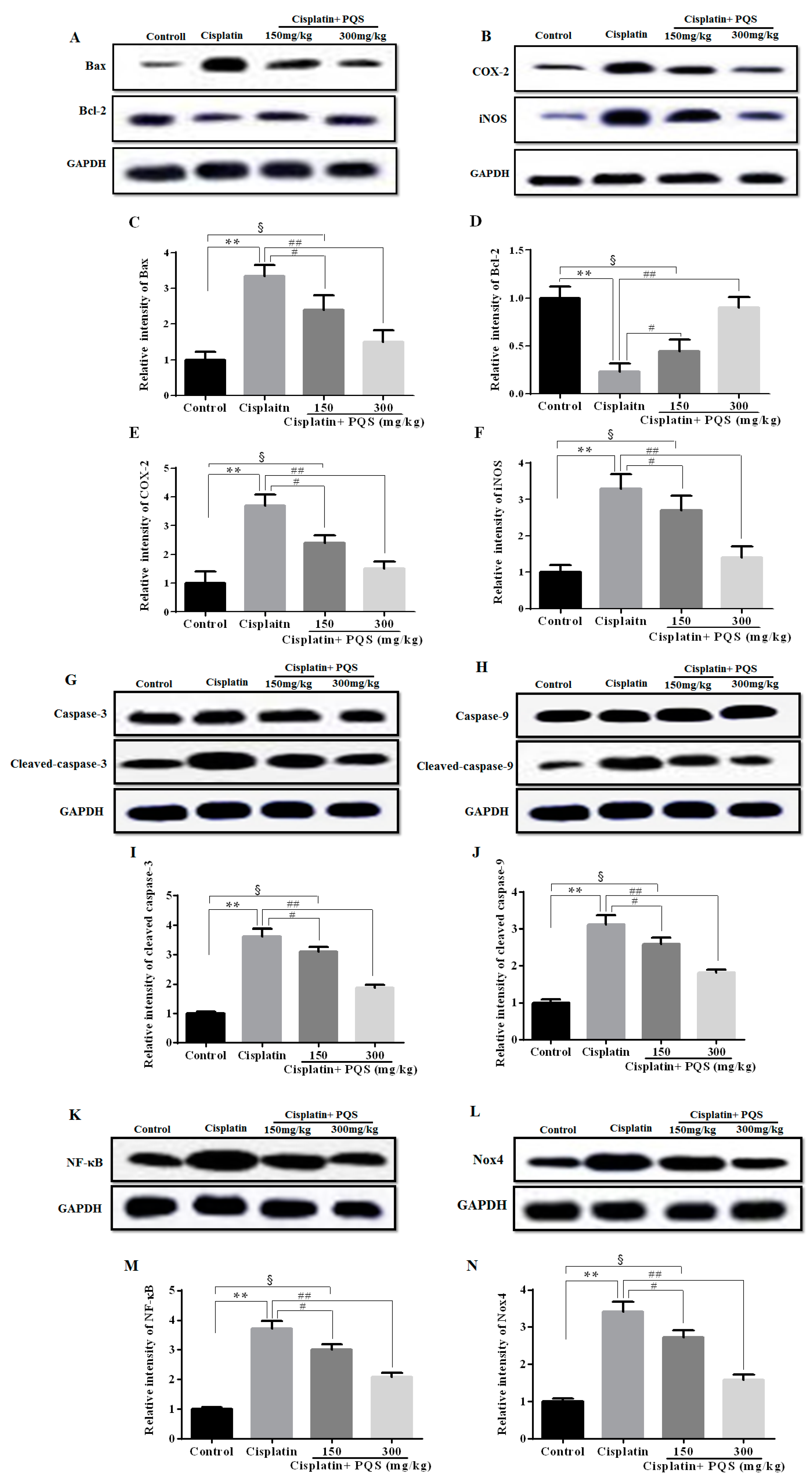 Ijms 18 01407 g004 550