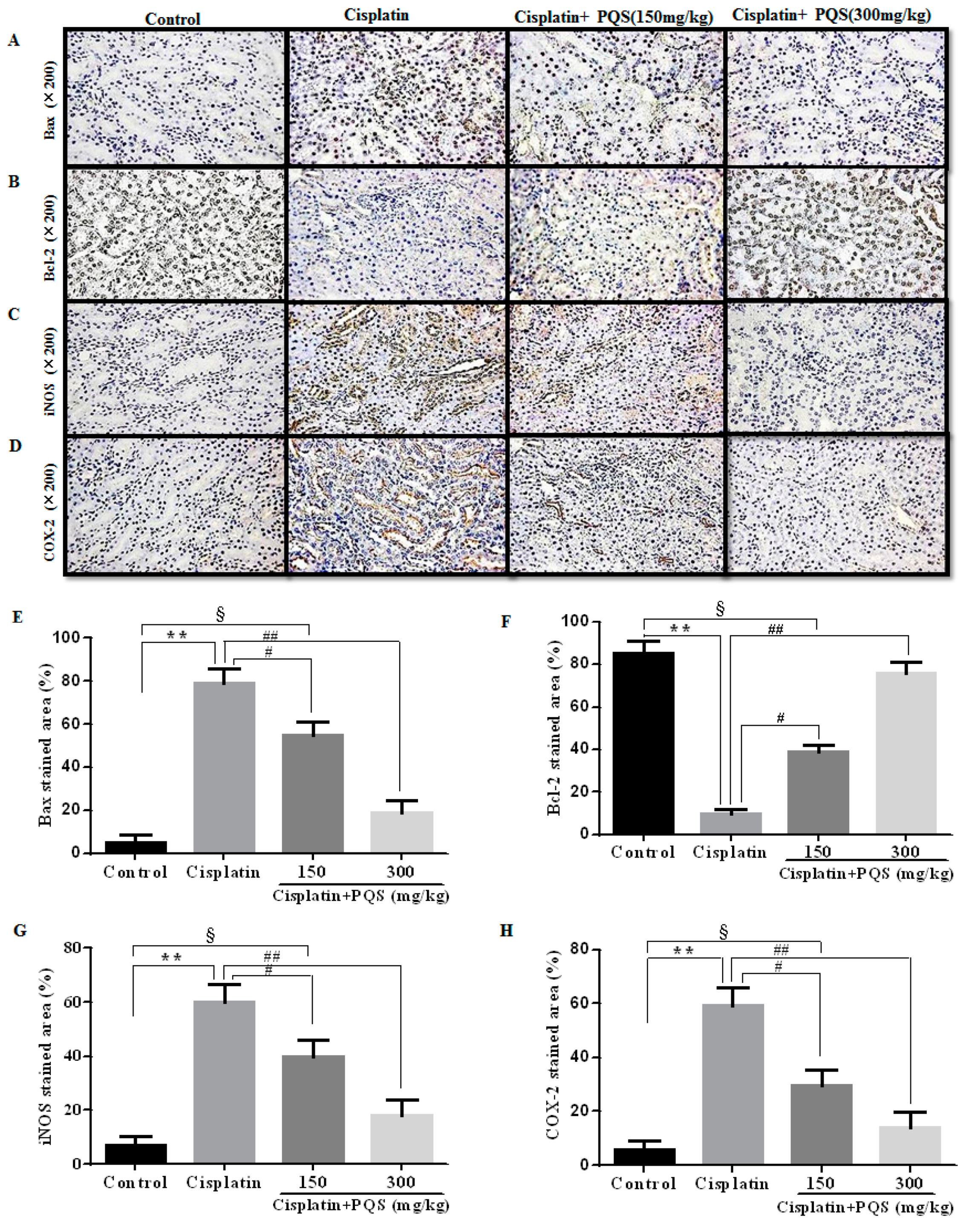 Ijms 18 01407 g007 550