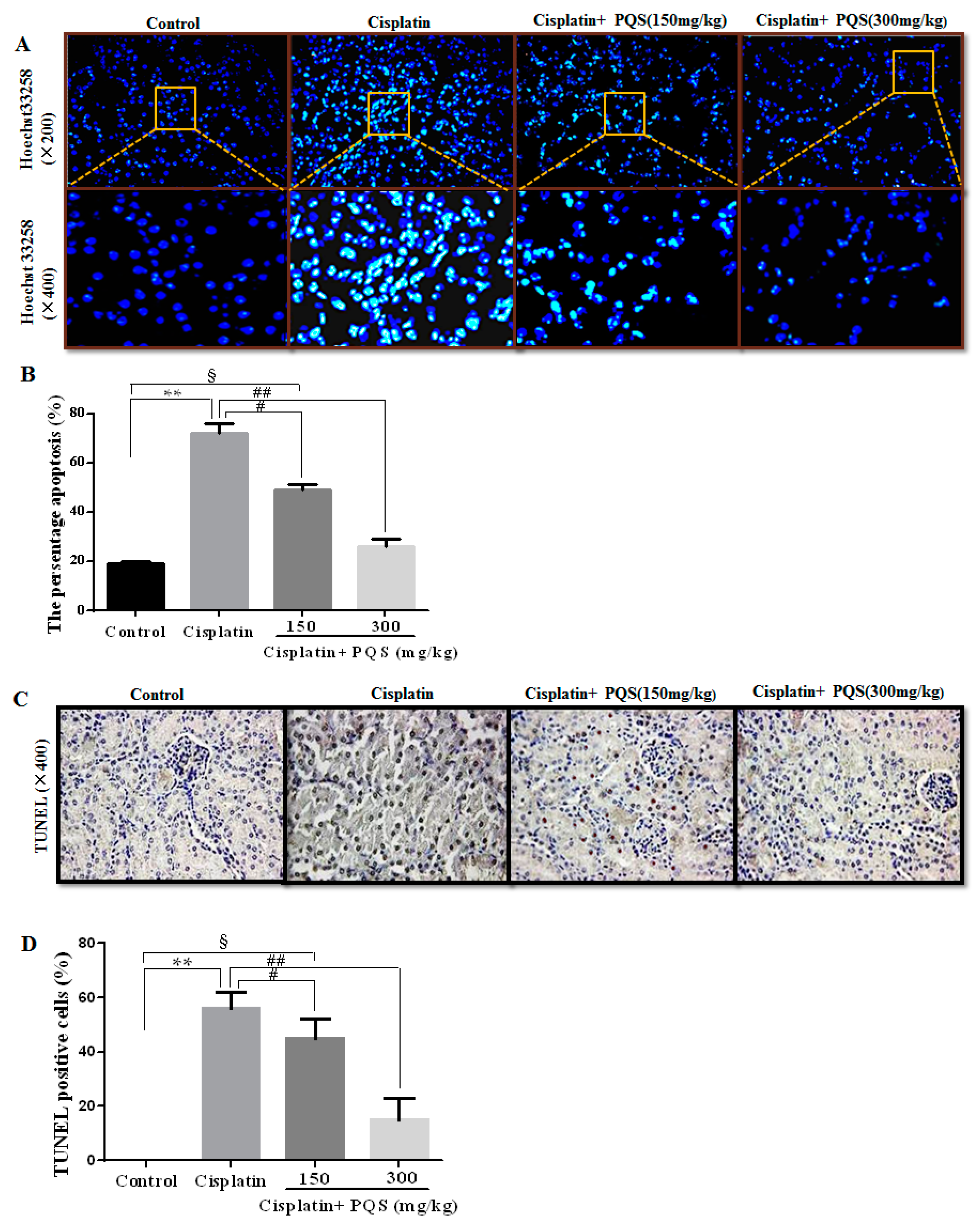 Ijms 18 01407 g008 550