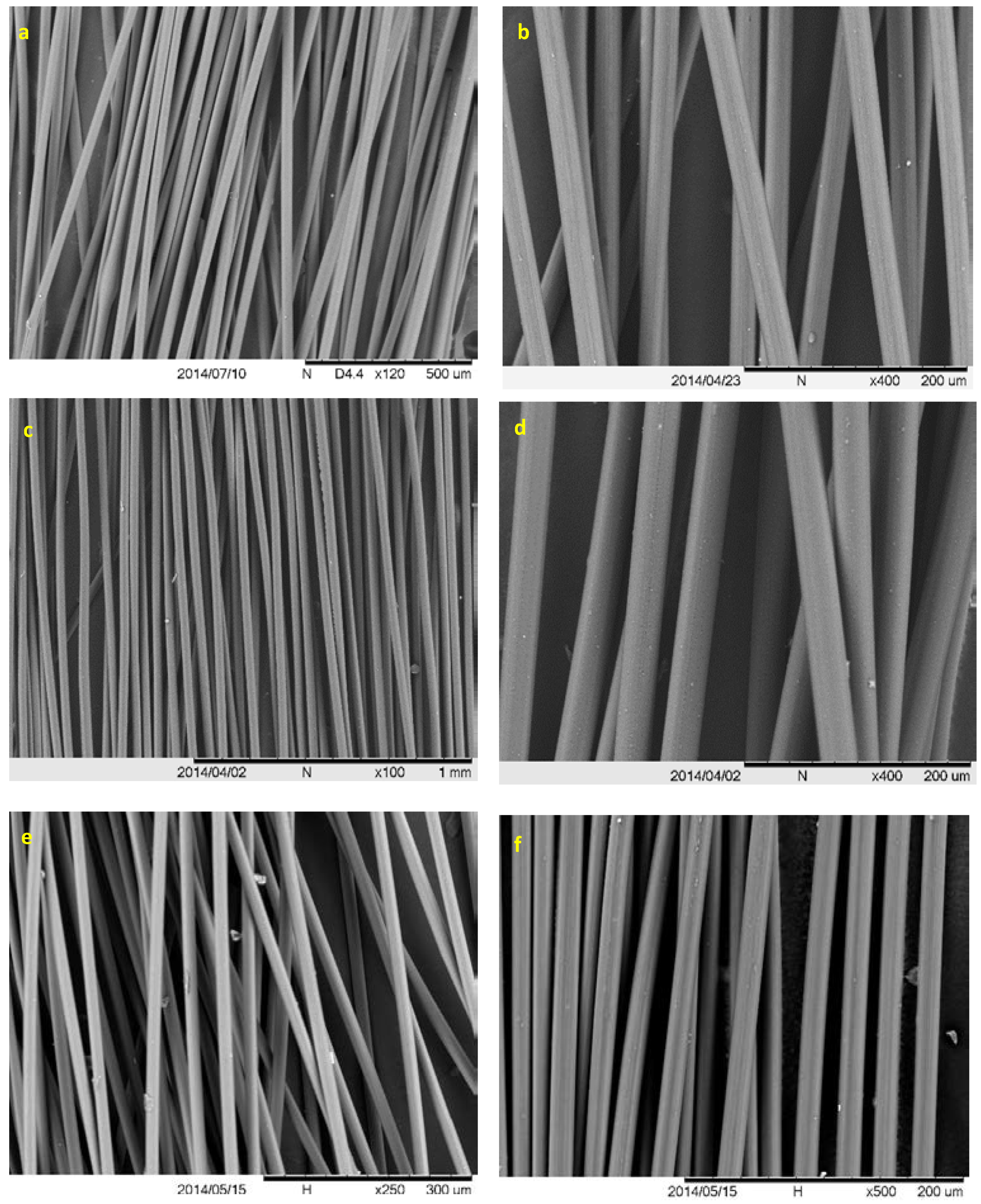 Ijms 18 01410 g004 550