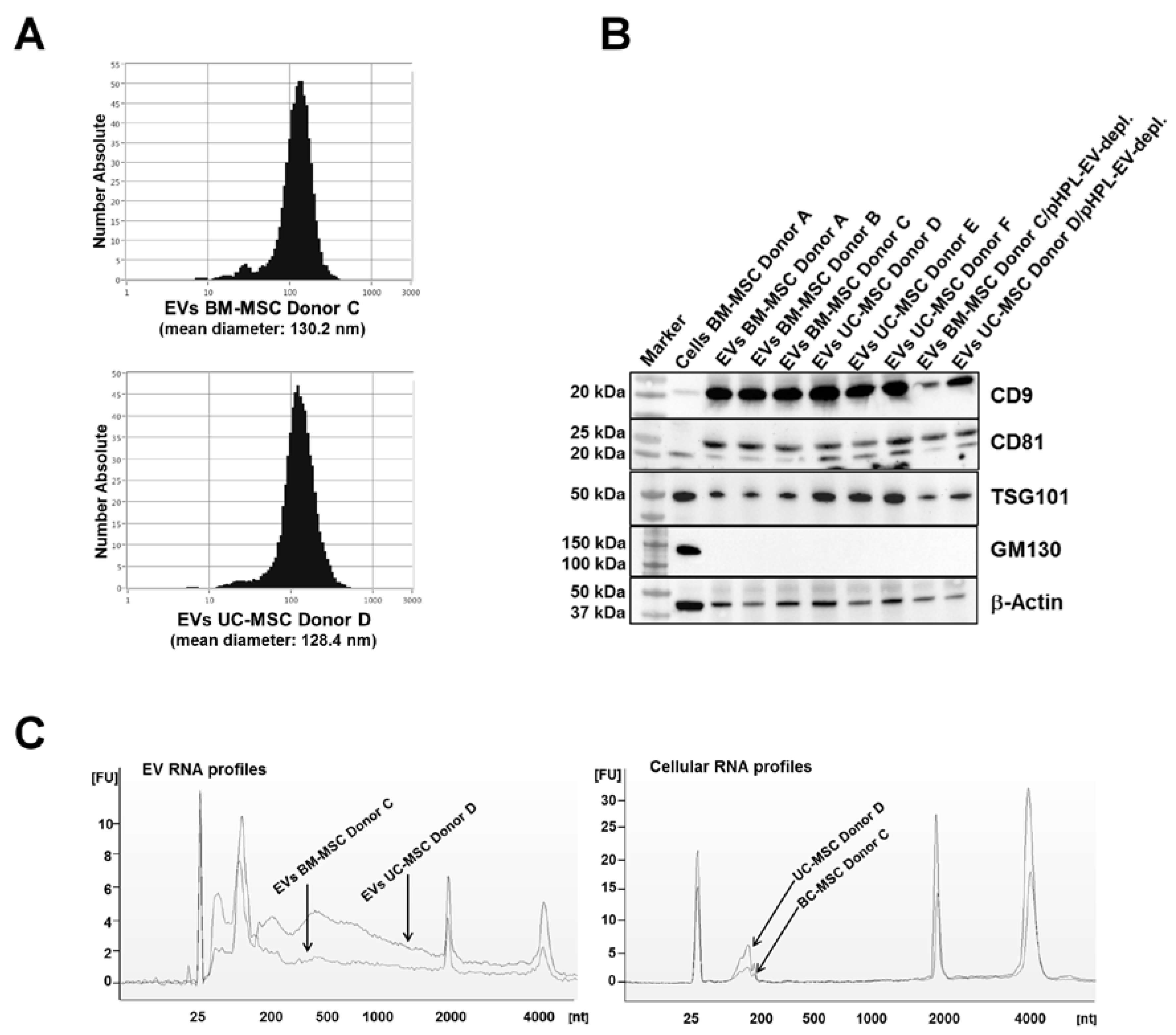 Ijms 18 01413 g001