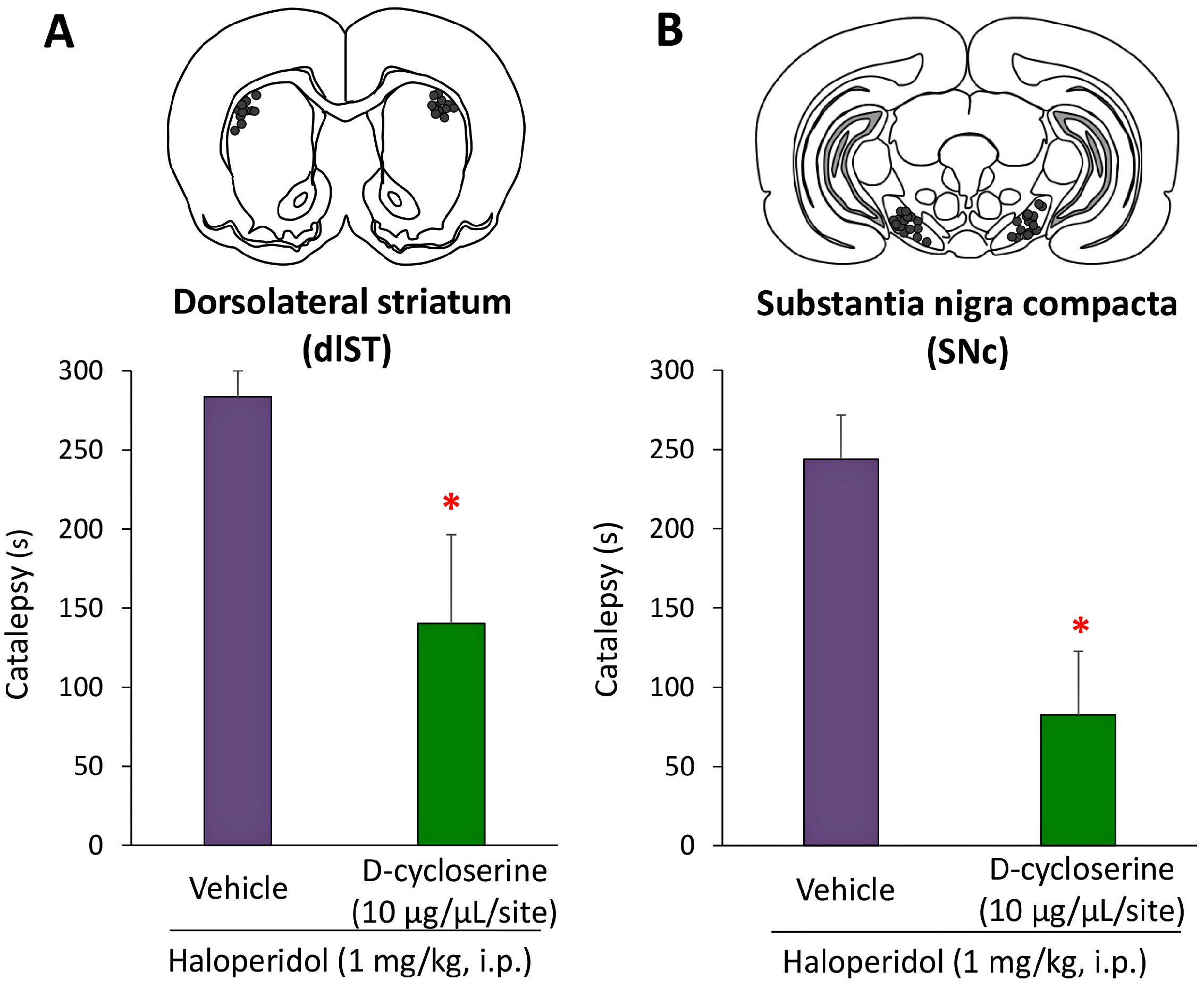 Ijms 18 01416 g004 550