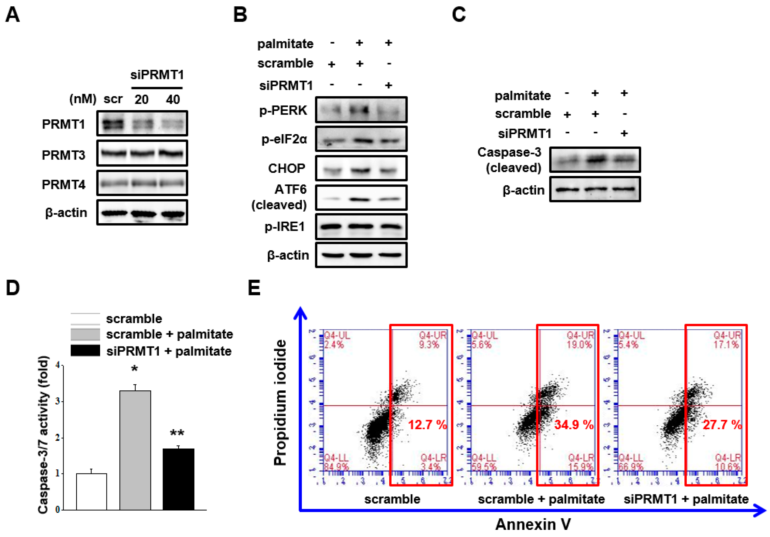 Ijms 18 01421 g003 550