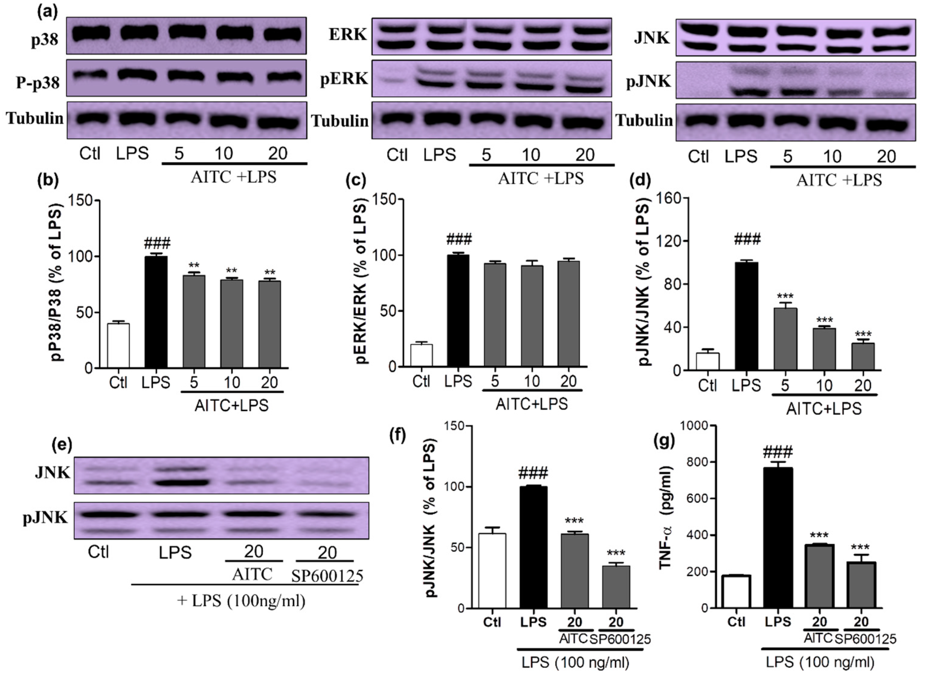Ijms 18 01423 g003 550