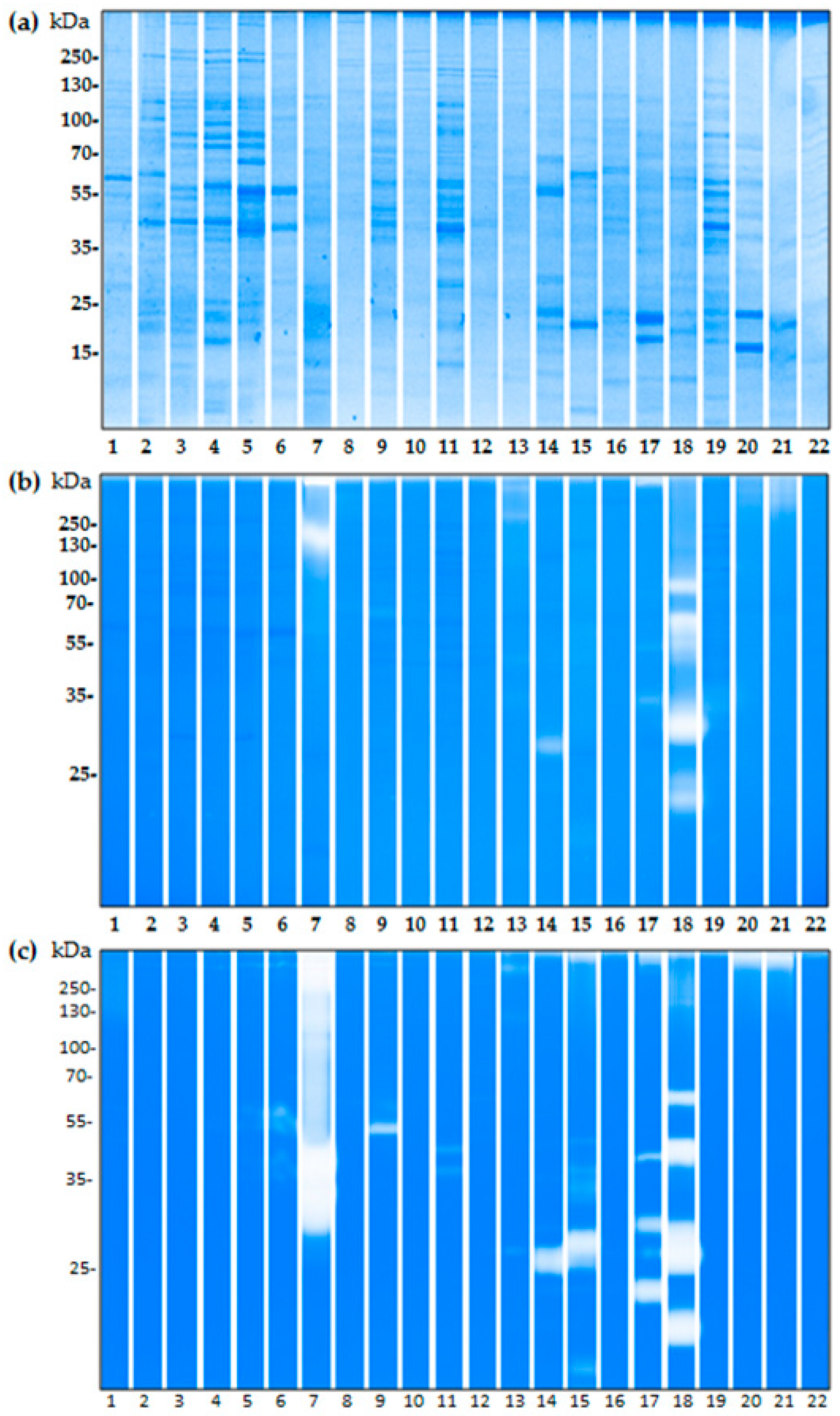 Ijms 18 01433 g004 550