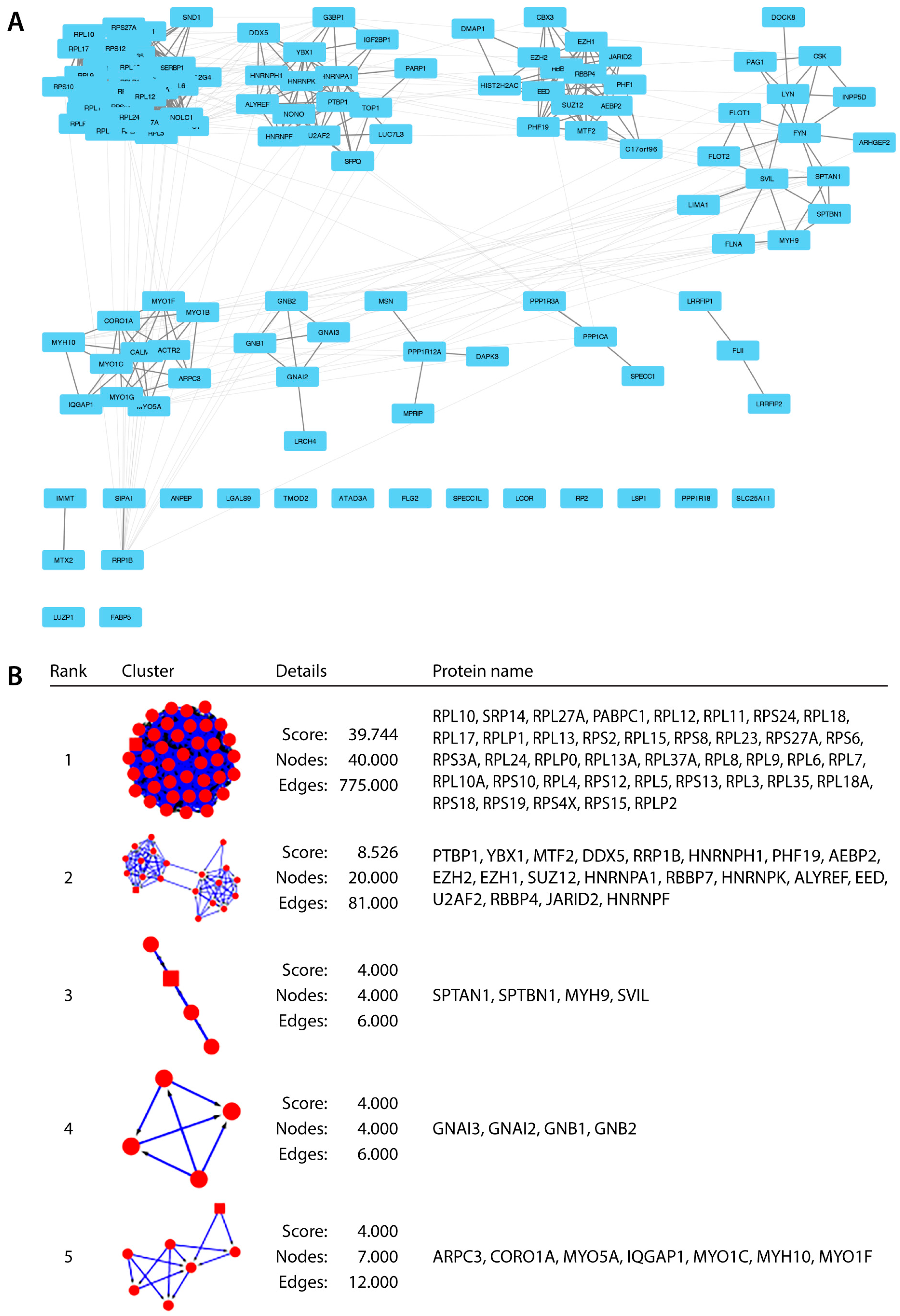 Ijms 18 01440 g002 550