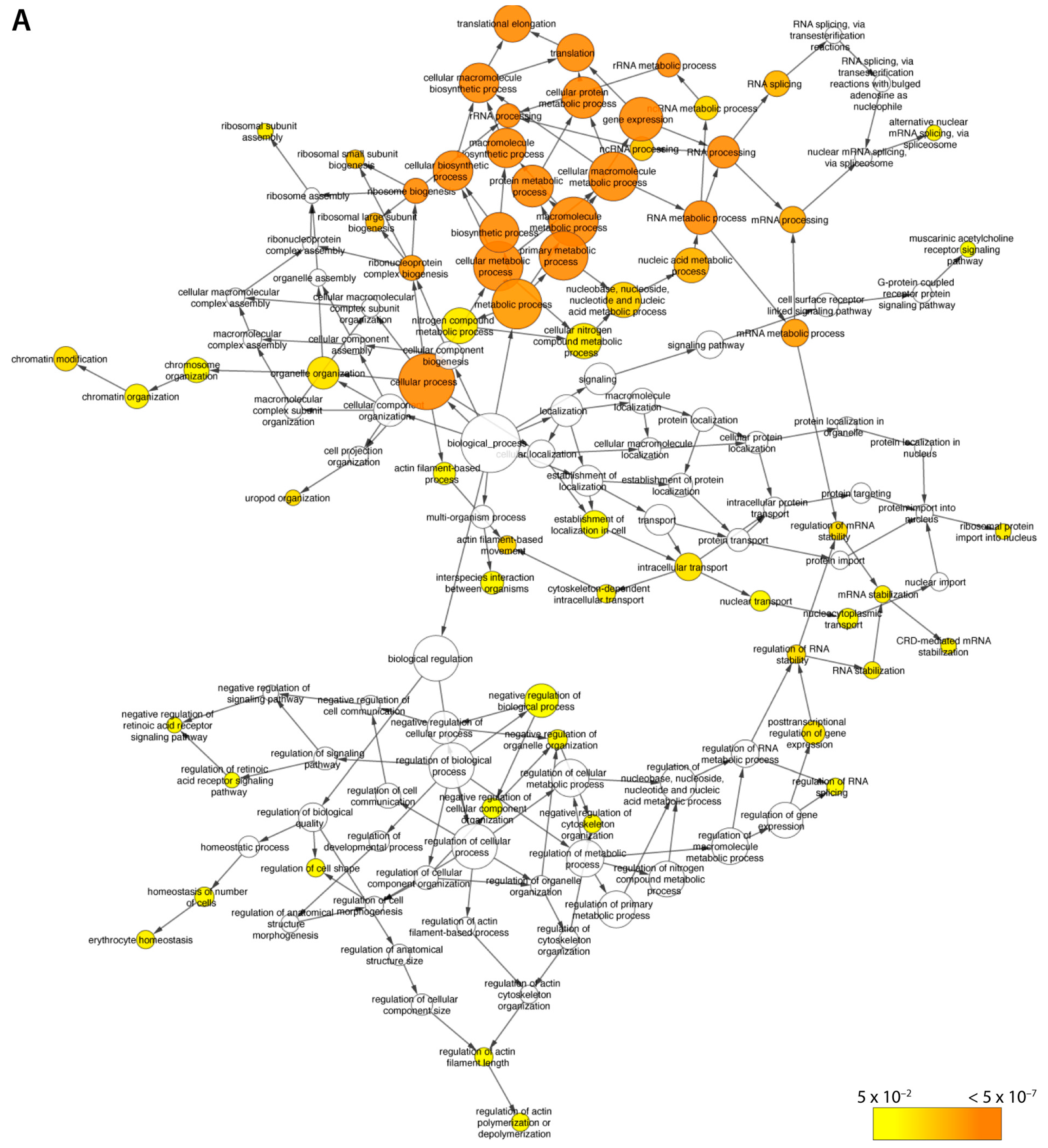 Ijms 18 01440 g003a 550