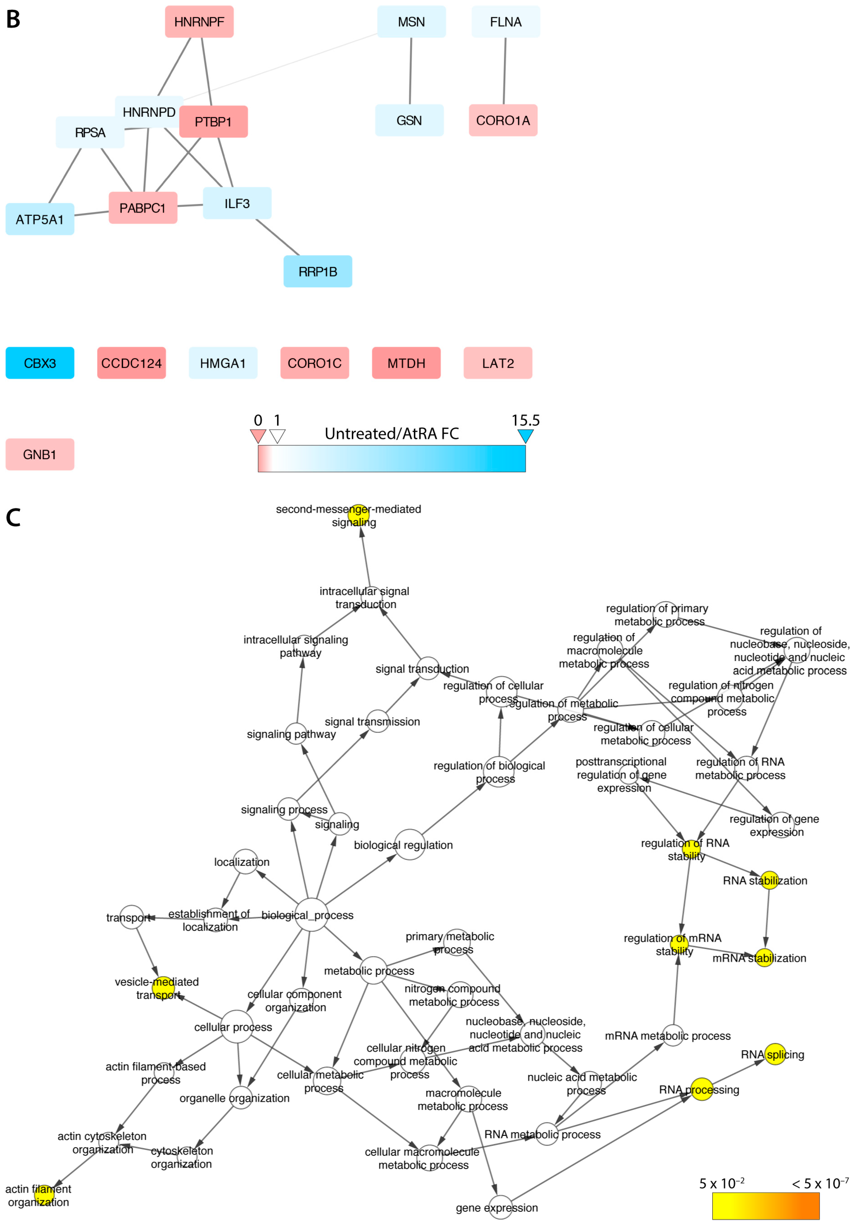 Ijms 18 01440 g003b 550