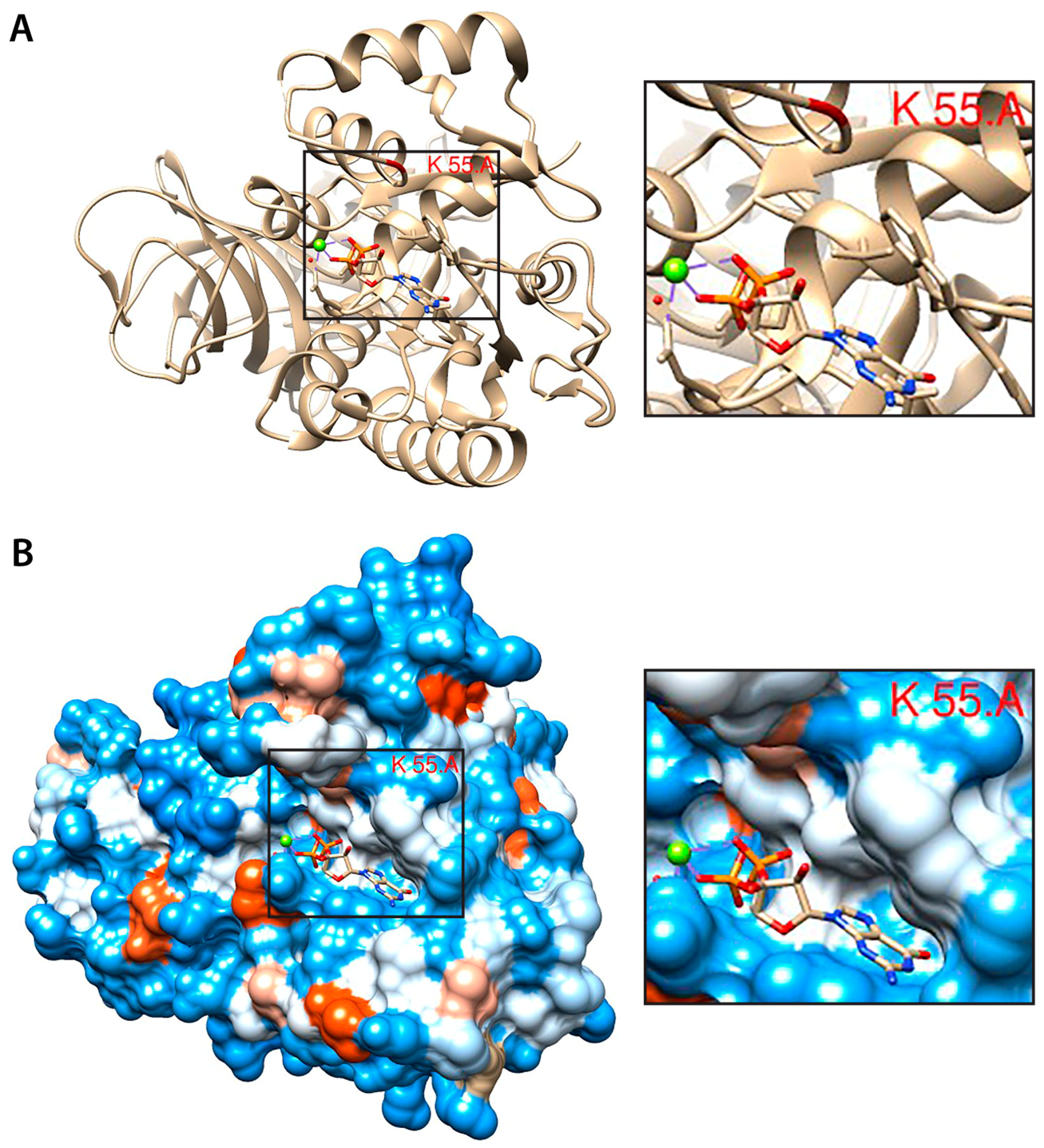 Ijms 18 01440 g004 550
