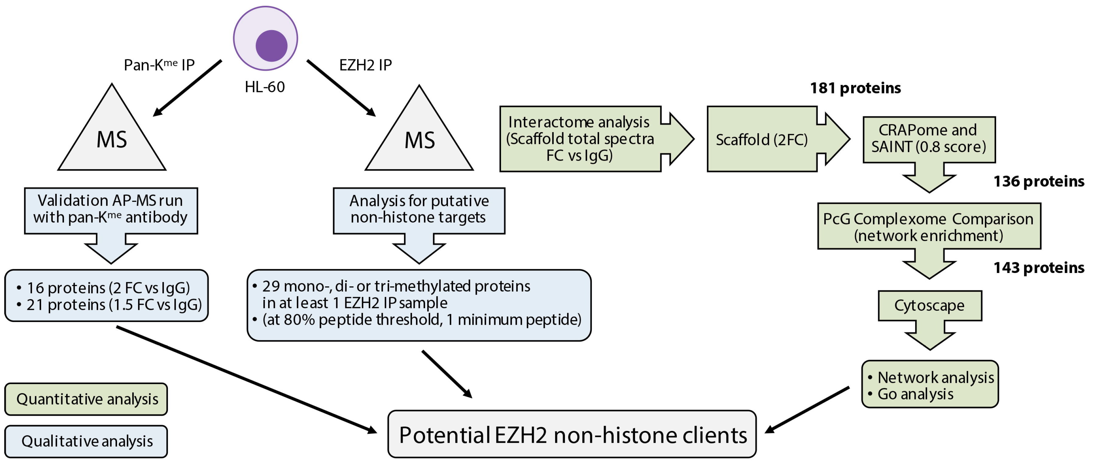 Ijms 18 01440 g005 550
