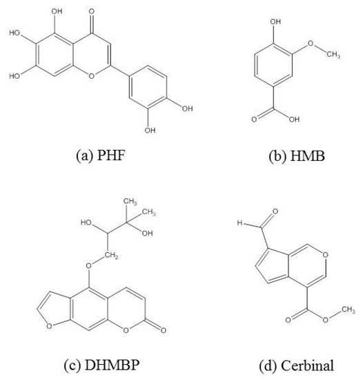 Computational Investigation into the Interactions of