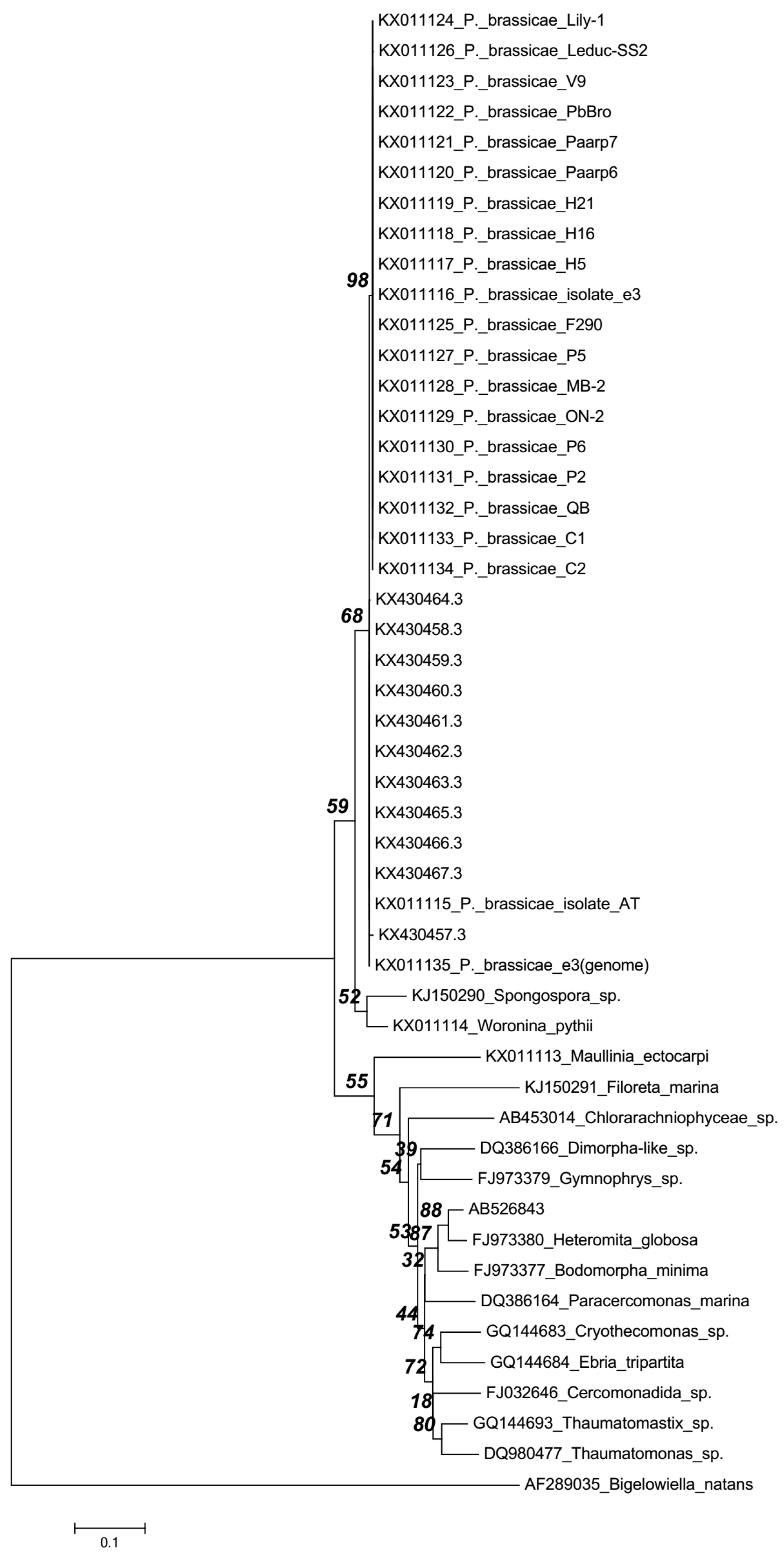 Ijms 18 01455 g001 550