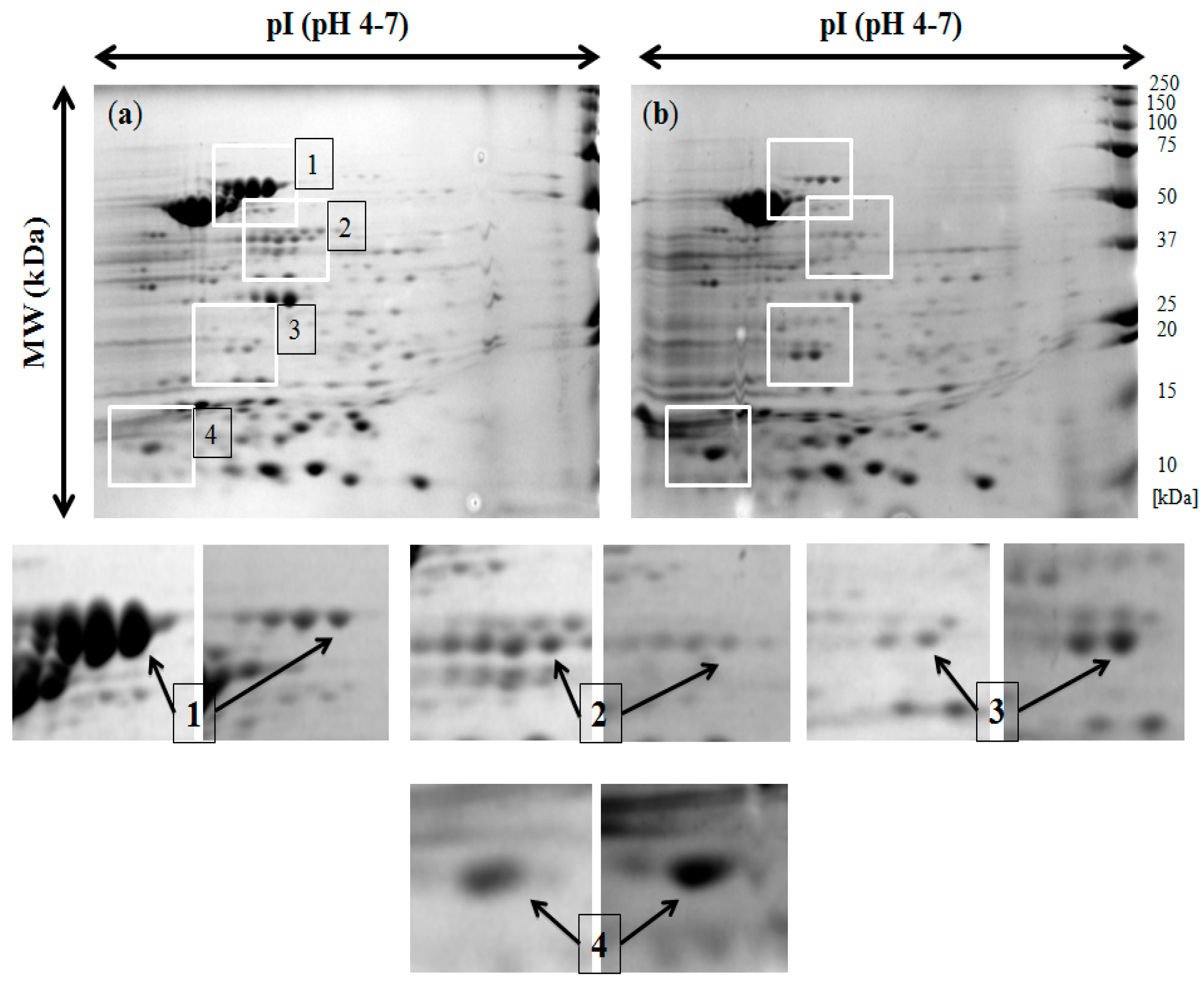 Ijms 18 01459 g001