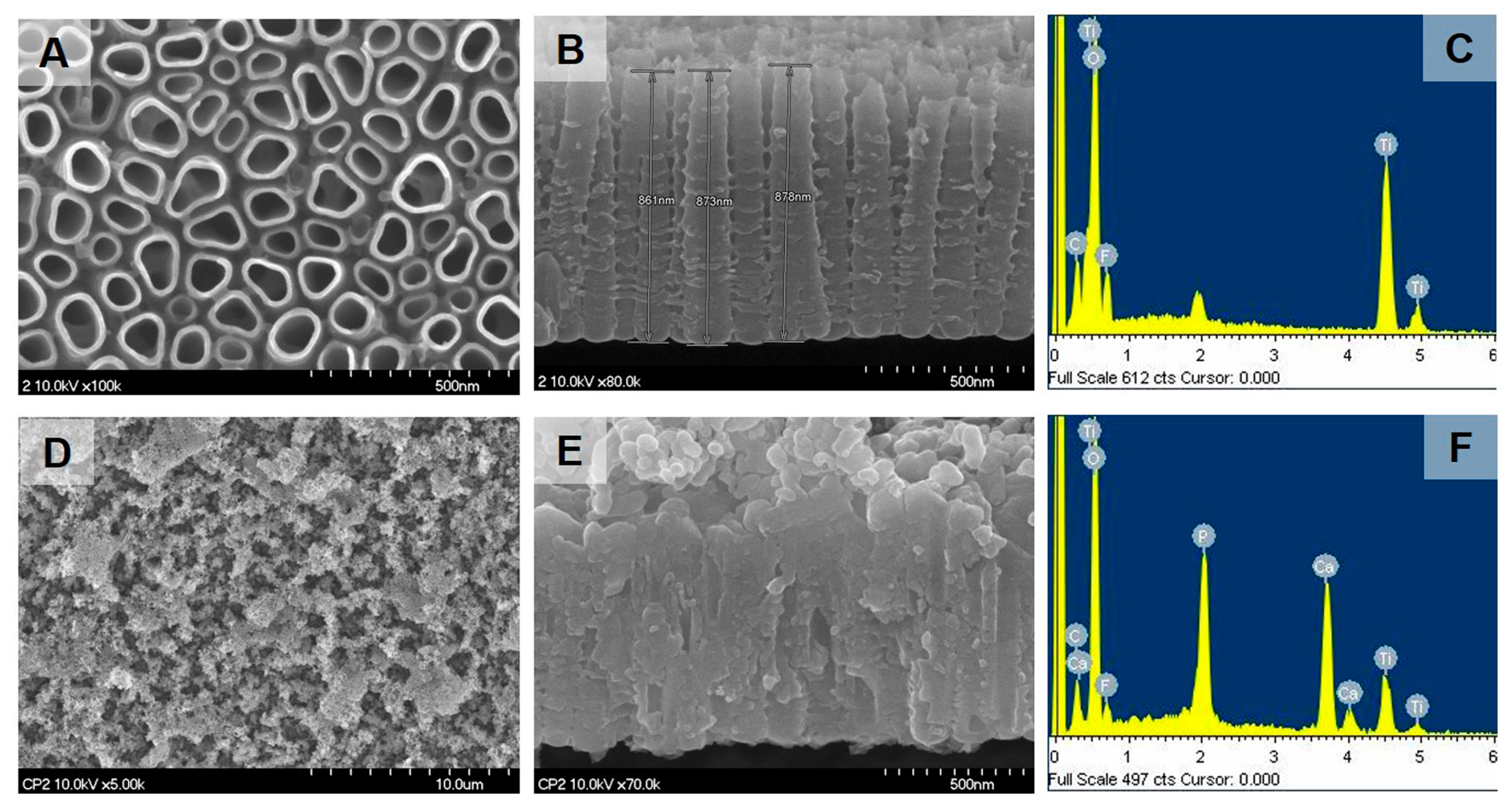 Ijms 18 01462 g001 550