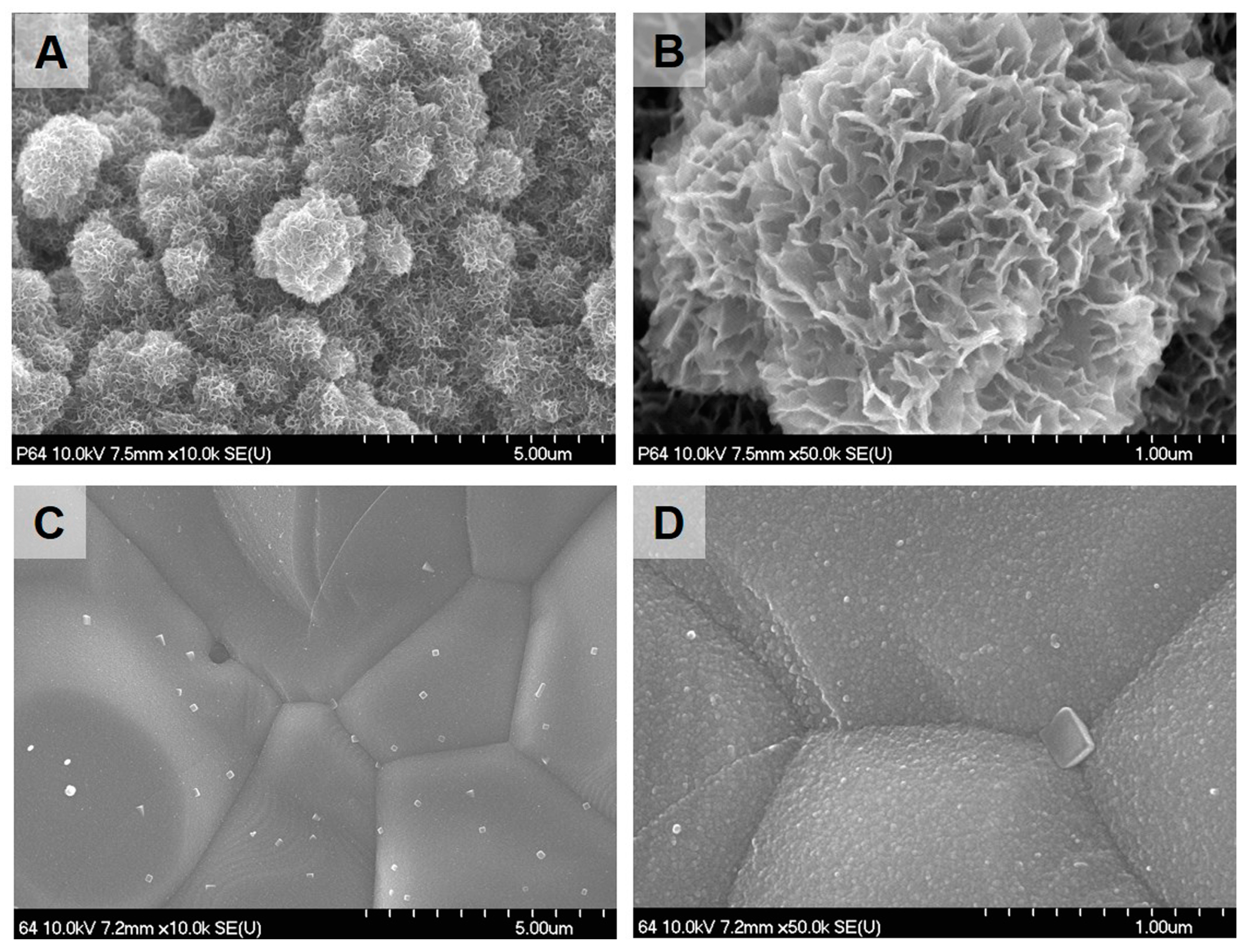 Ijms 18 01462 g003 550