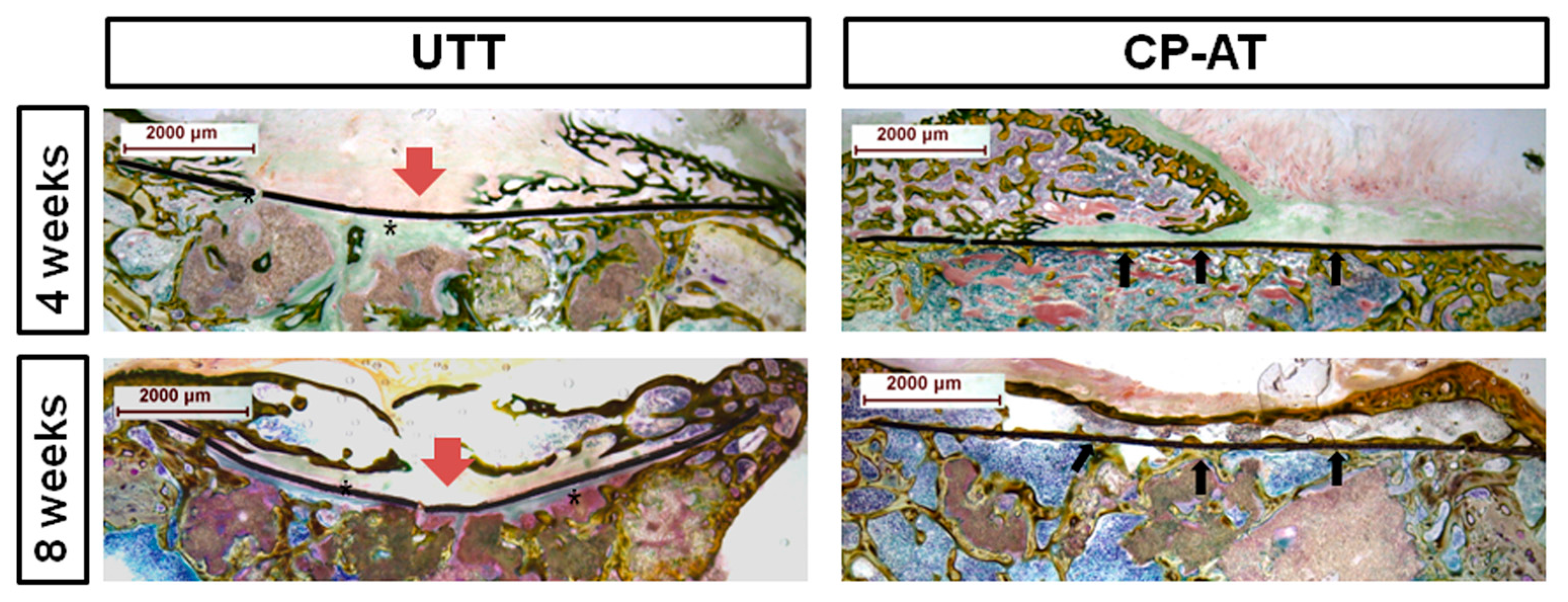 Ijms 18 01462 g005 550