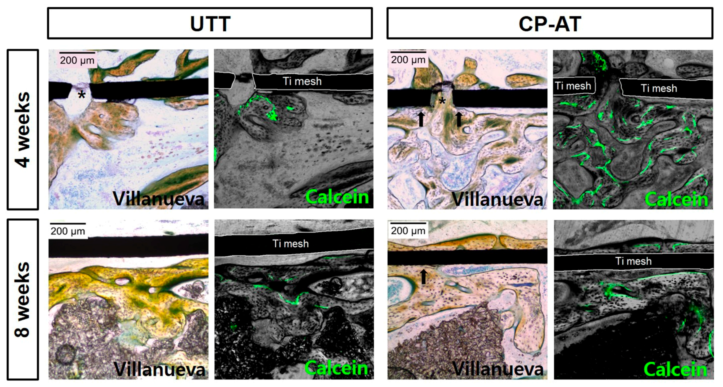 Ijms 18 01462 g006 550