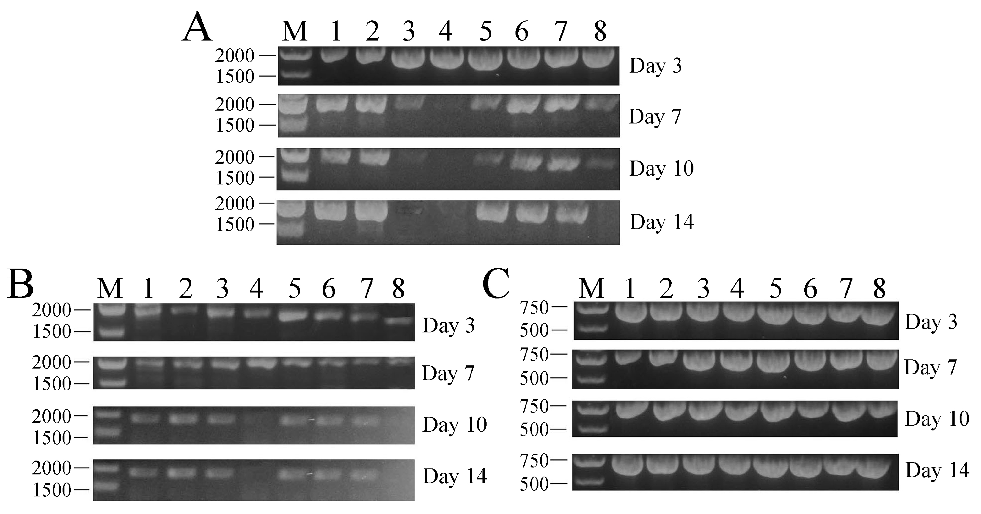 Ijms 18 01465 g004 550