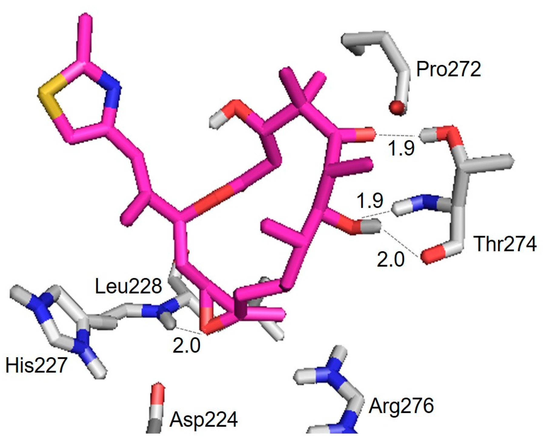 Ijms 18 01472 g007 550