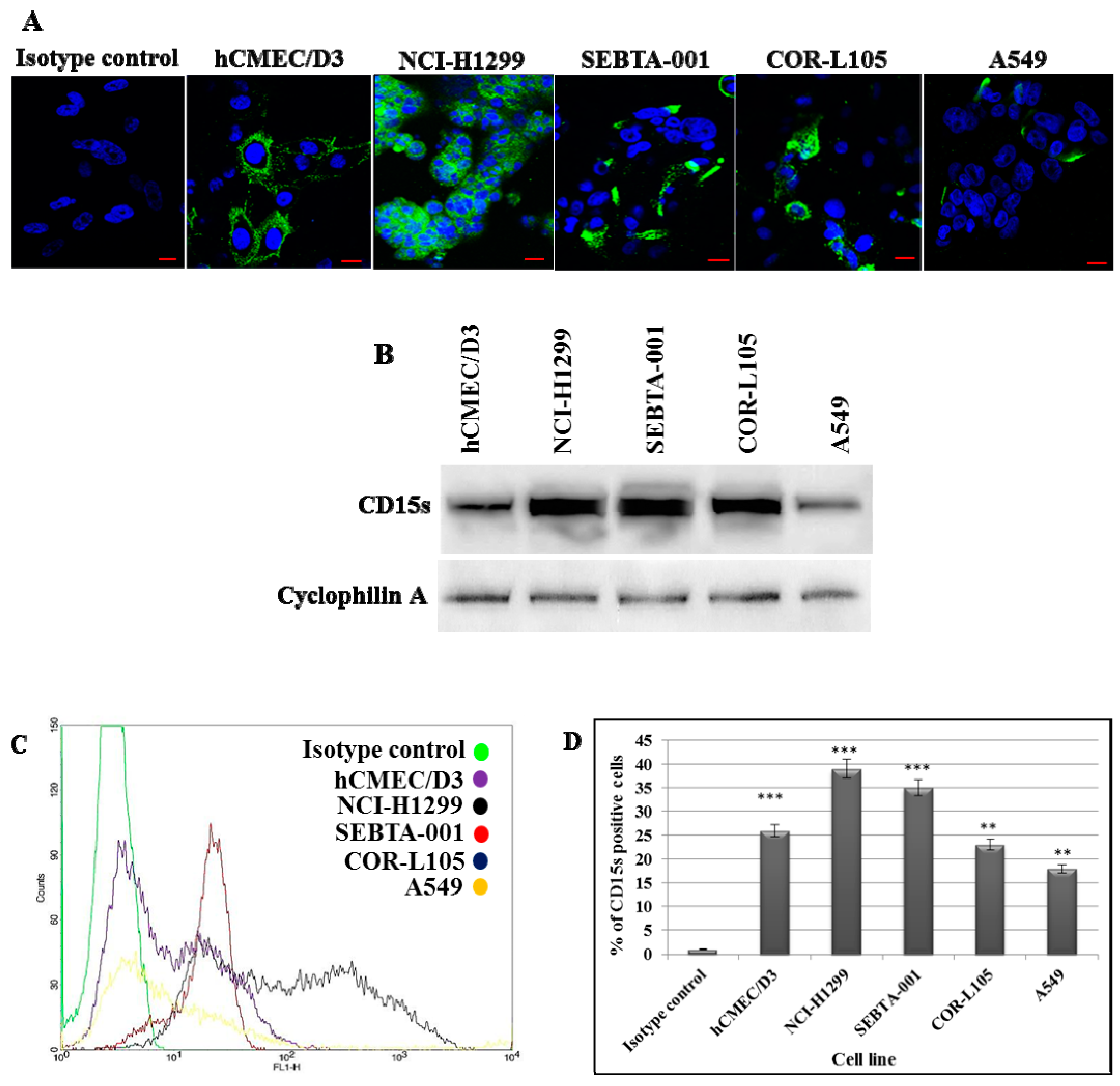 Ijms 18 01474 g001 550