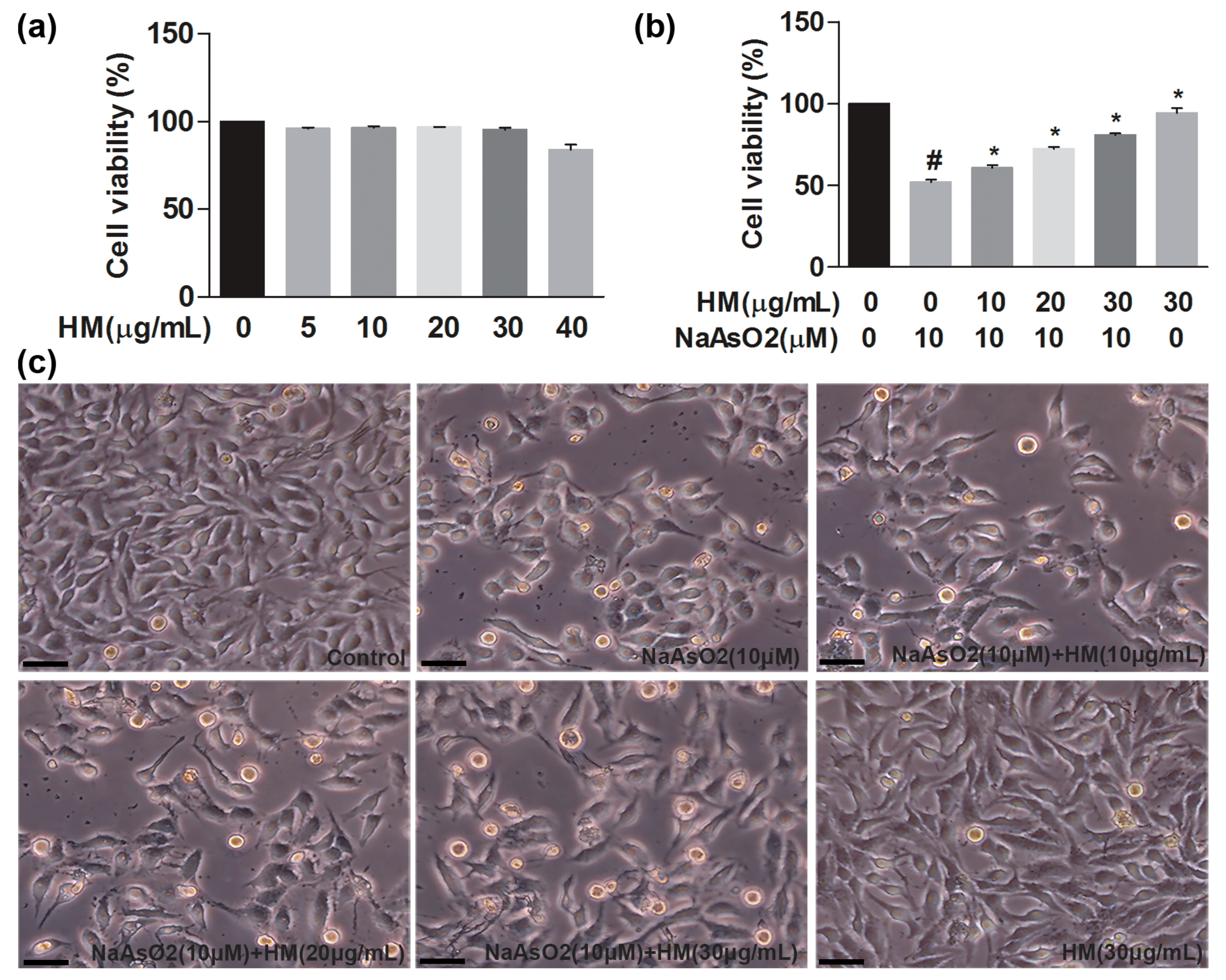 Ijms 18 01482 g001 550