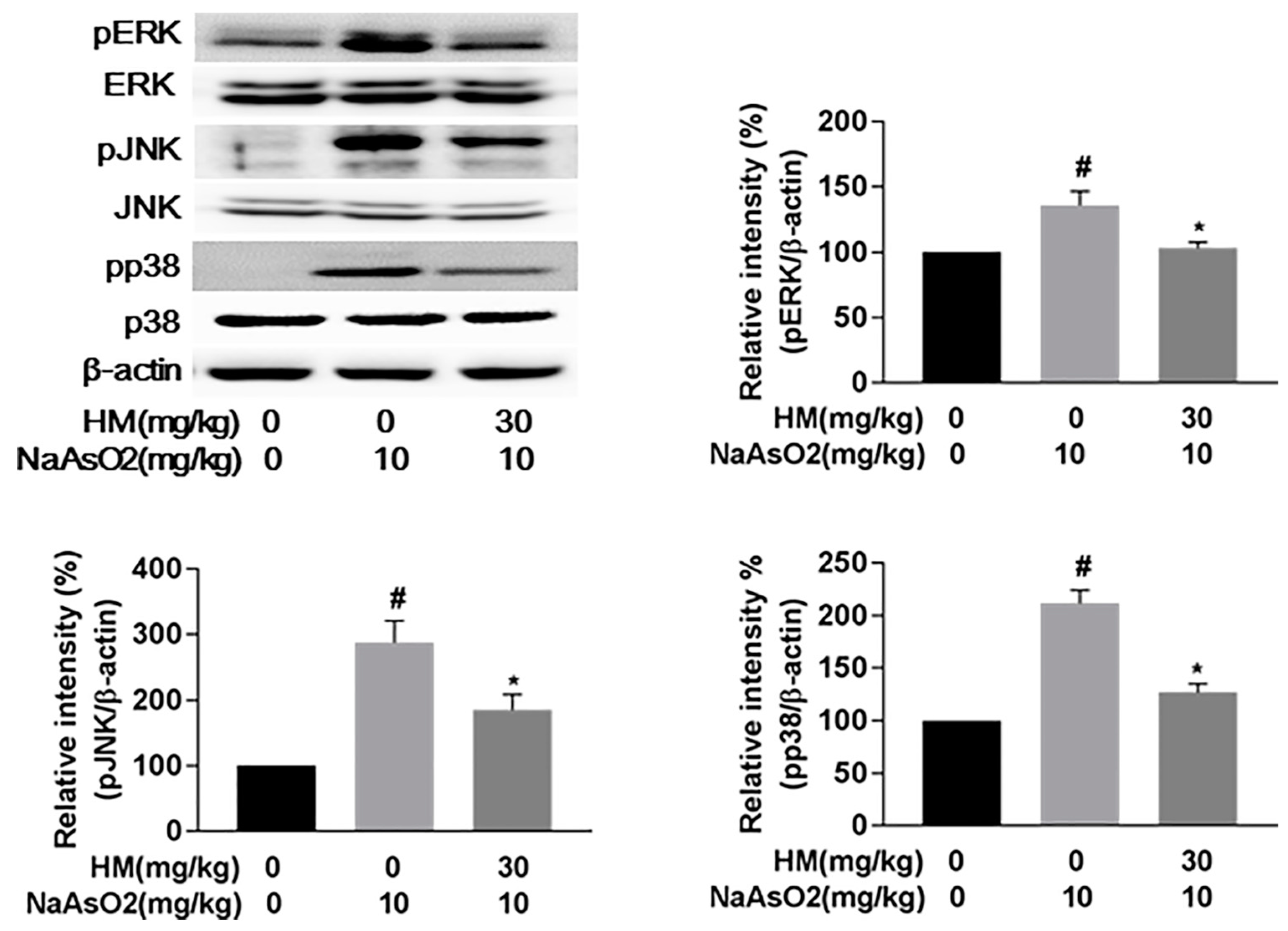 Ijms 18 01482 g006 550