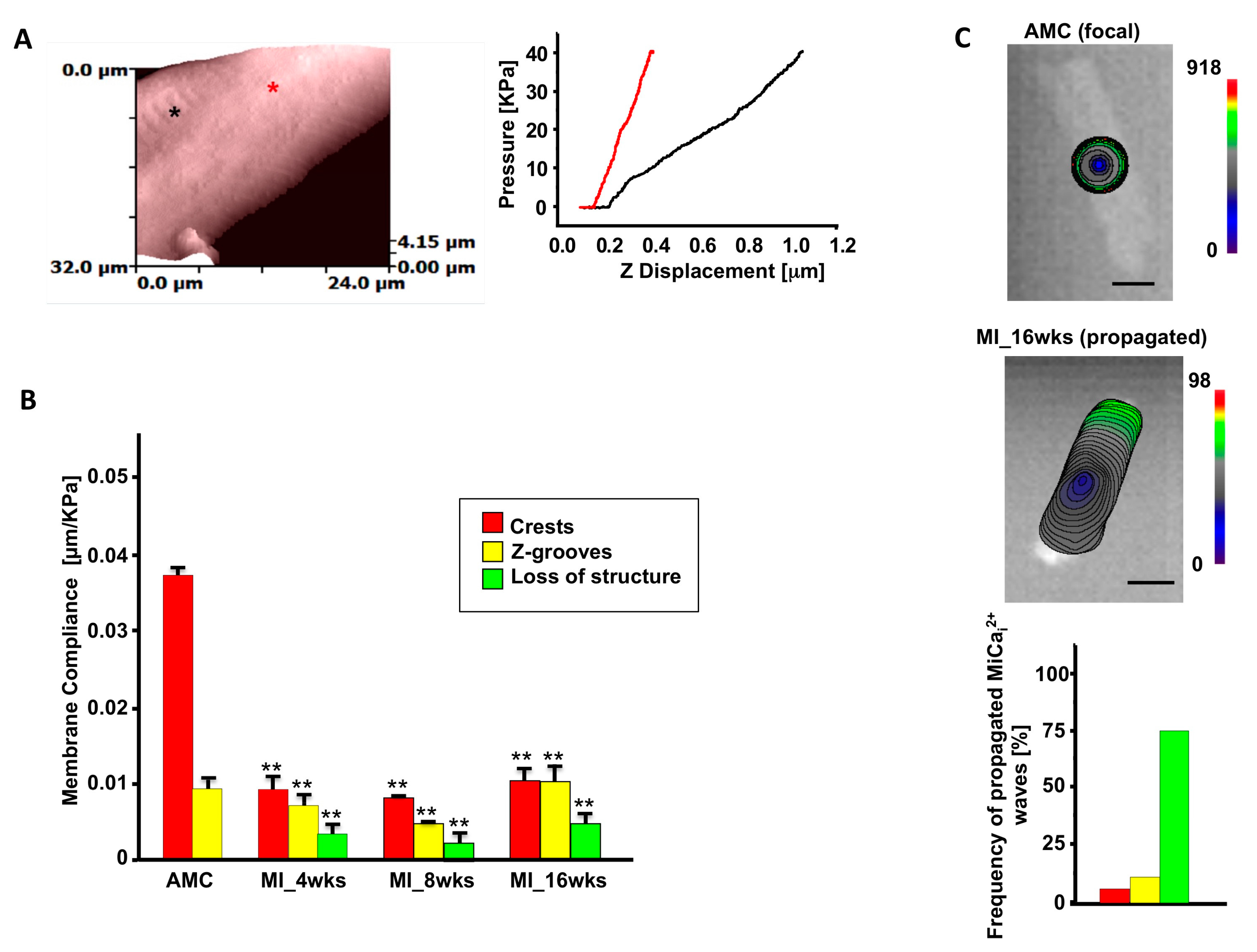 Ijms 18 01487 g003 550