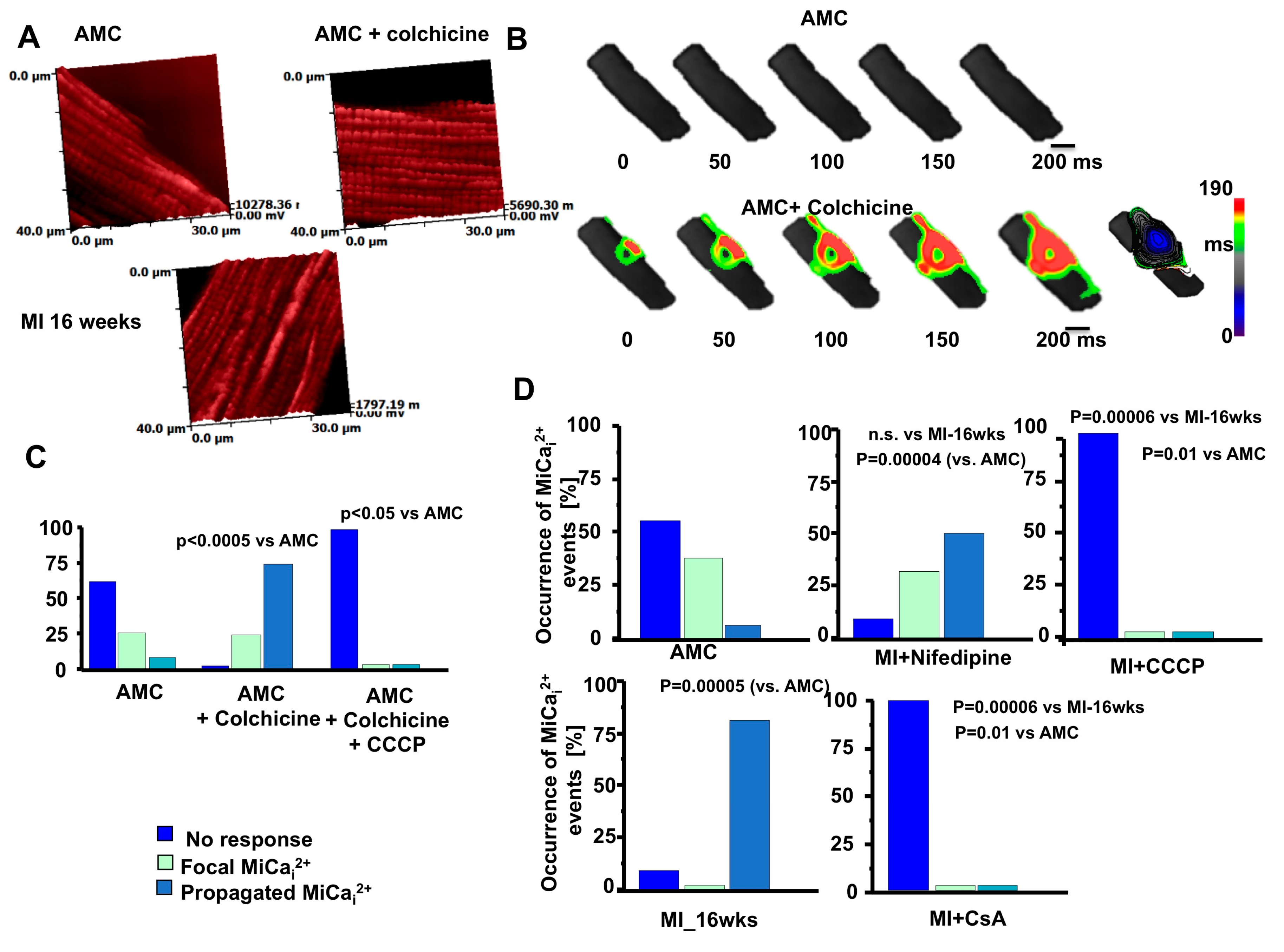 Ijms 18 01487 g005 550