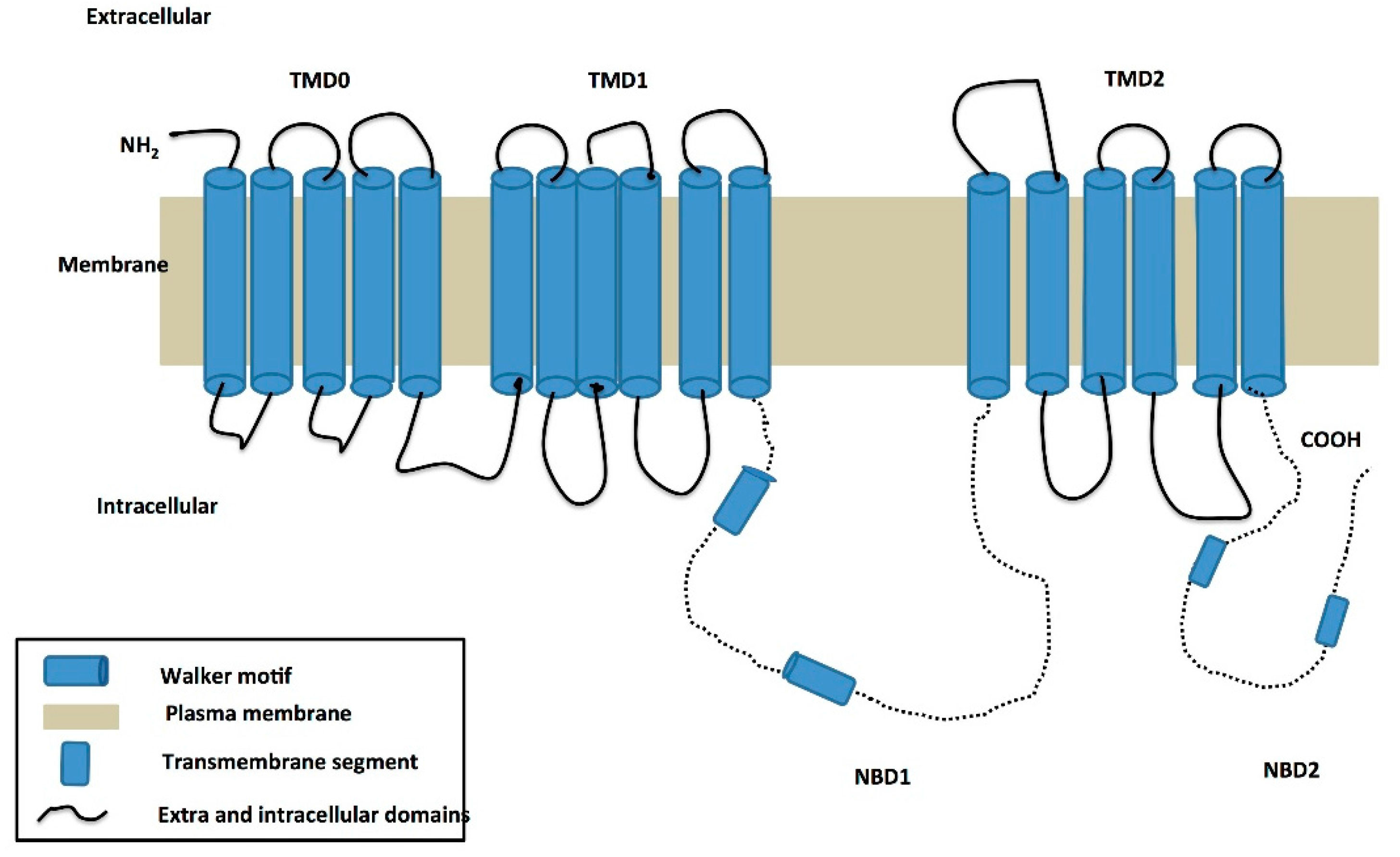 Ijms 18 01488 g002 550
