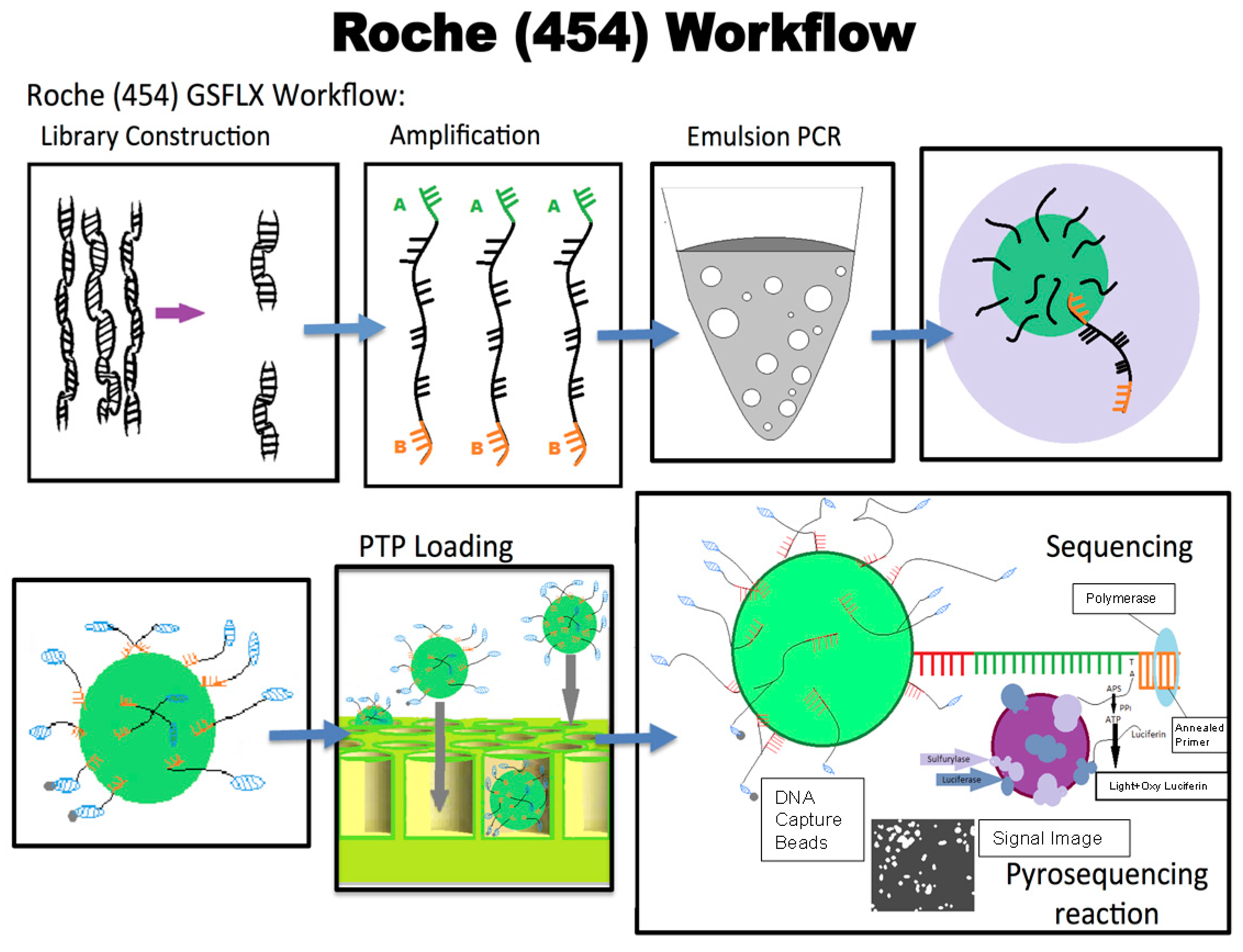Ijms 18 01488 g005 550