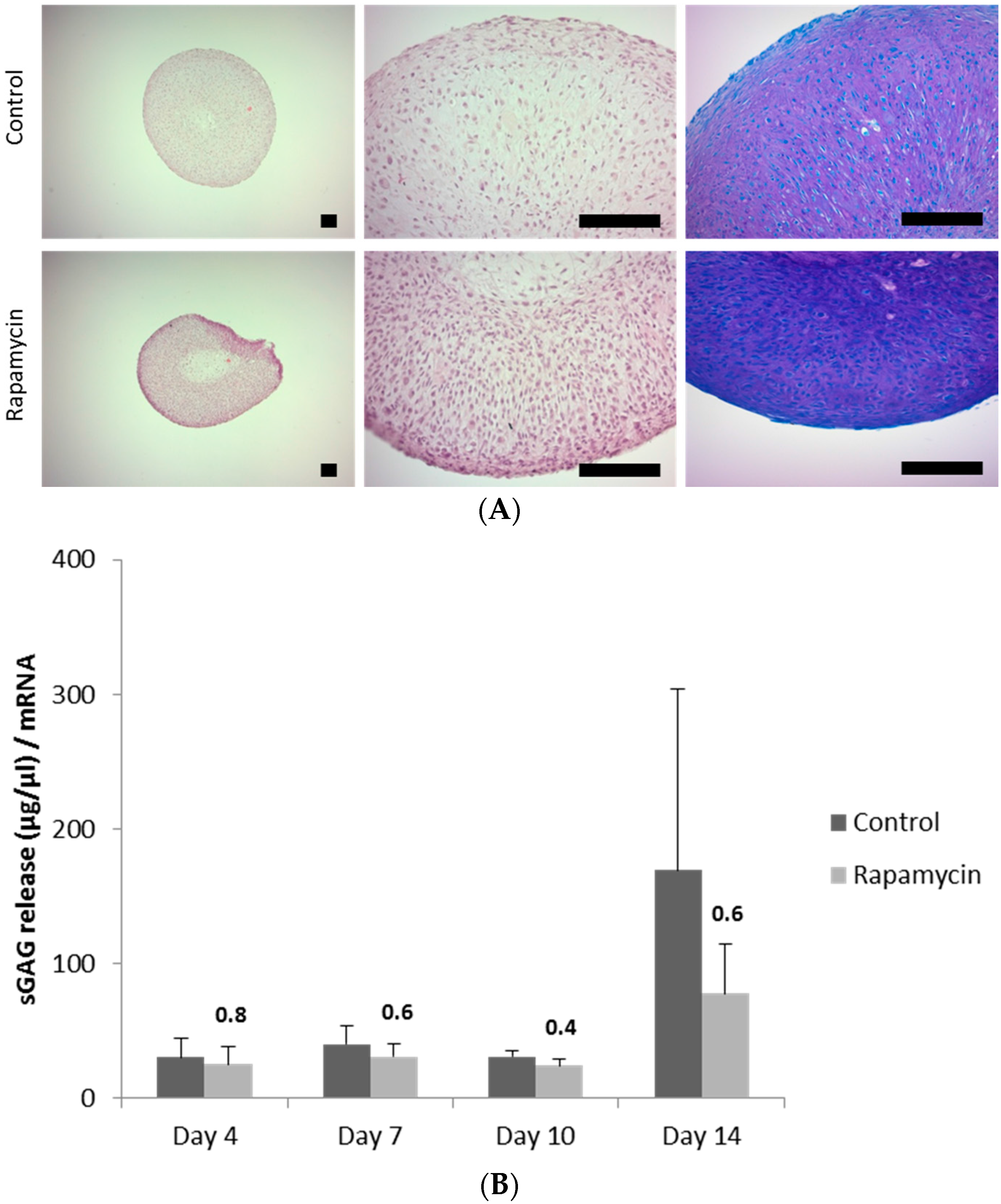 Ijms 18 01494 g001 Ijms 18 01494 g001