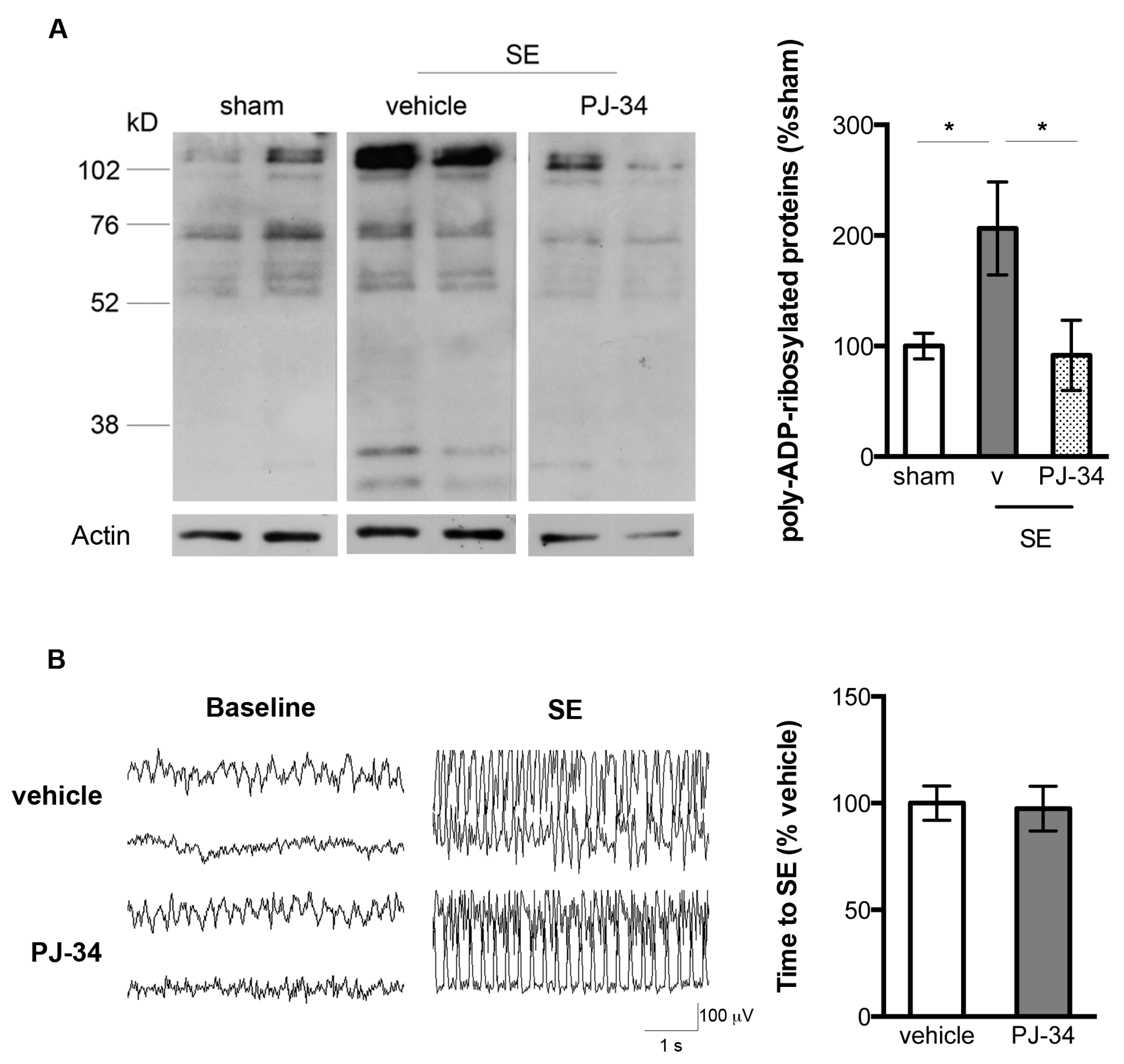 Ijms 18 01502 g002 550