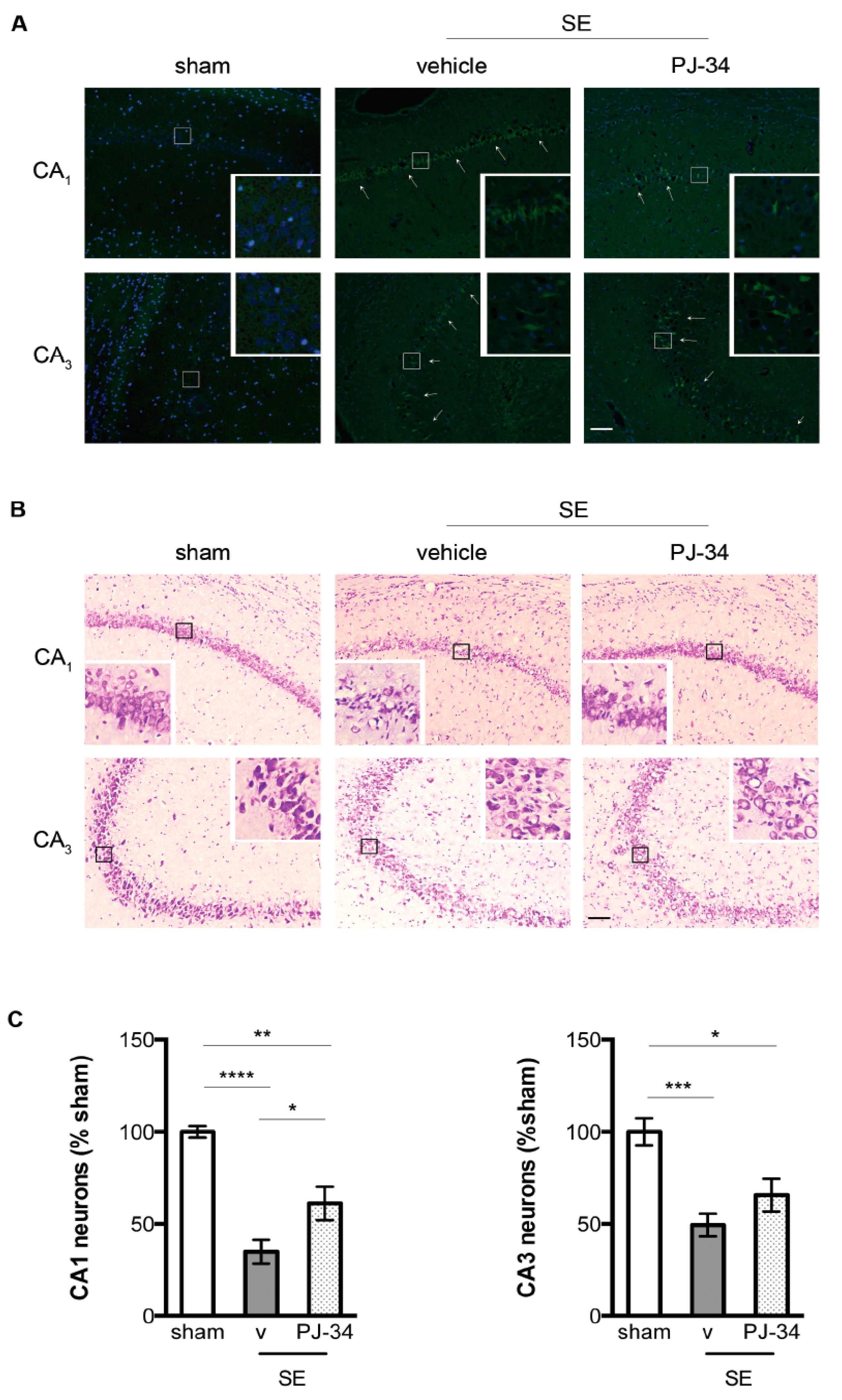Ijms 18 01502 g004 550