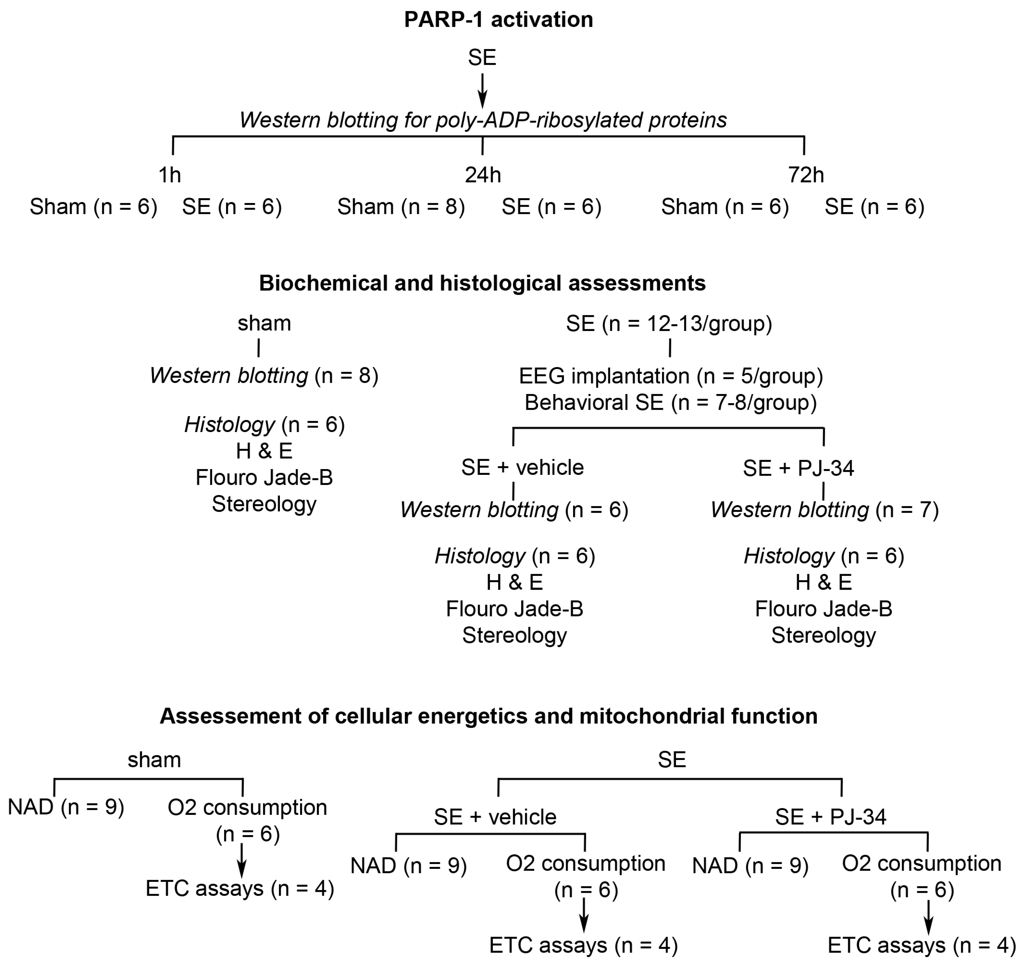 Ijms 18 01502 g005 550