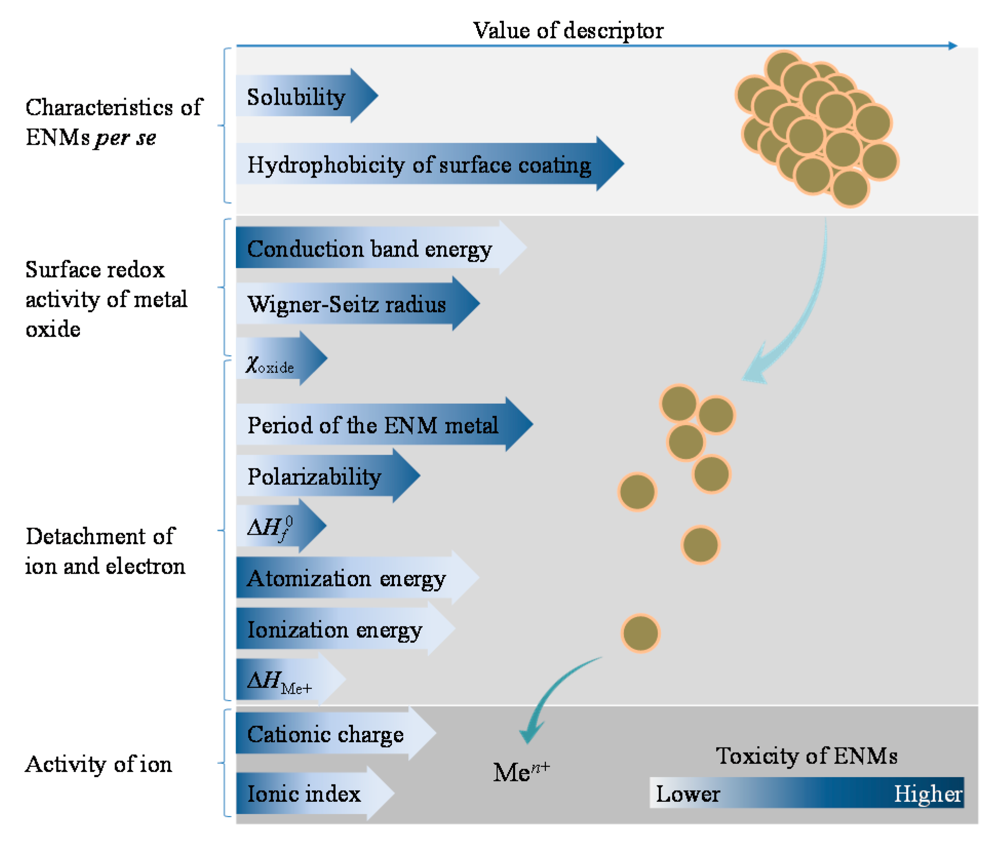 topic for research paper about abm strand