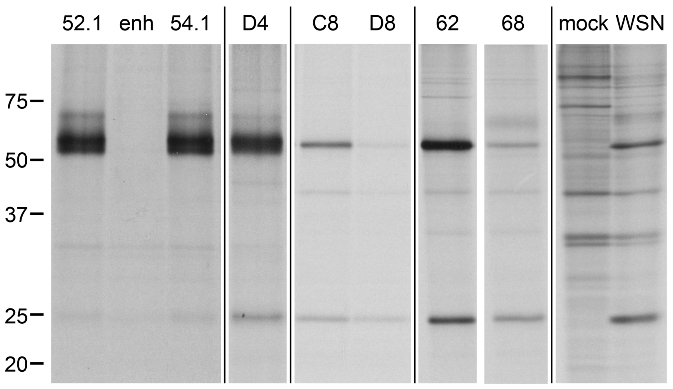 Ijms 18 01507 g008