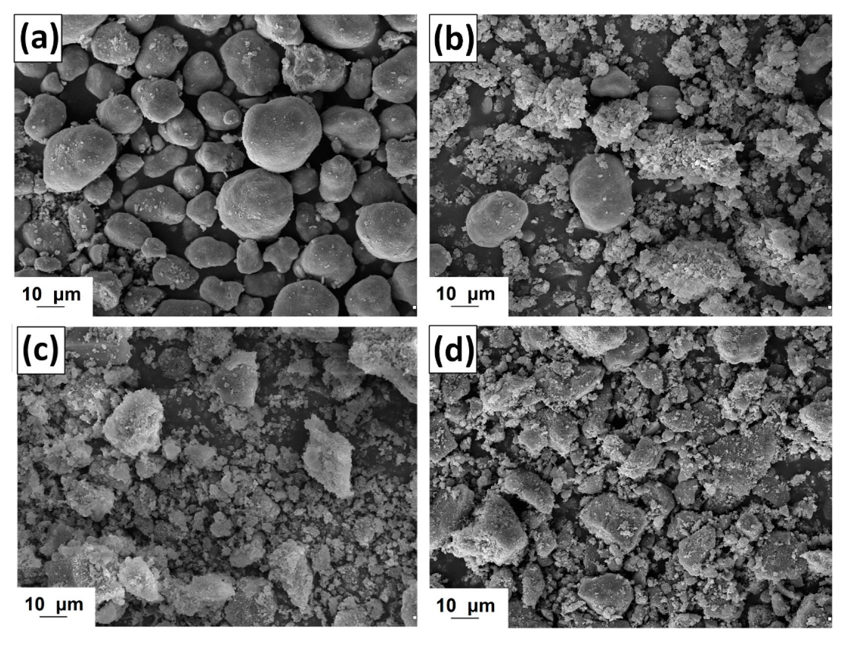 Ijms 18 01509 g009 550