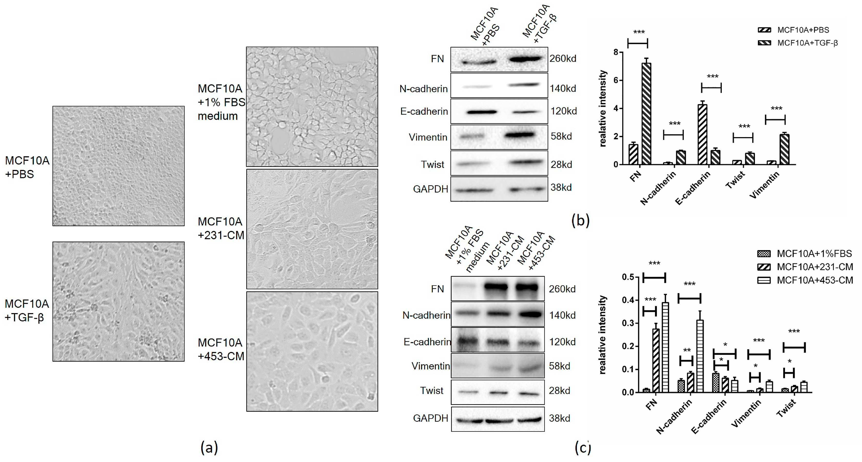 Ijms 18 01528 g001 550