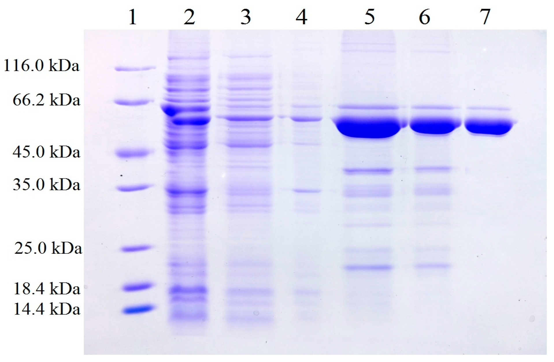 Ijms 18 01535 g001 550