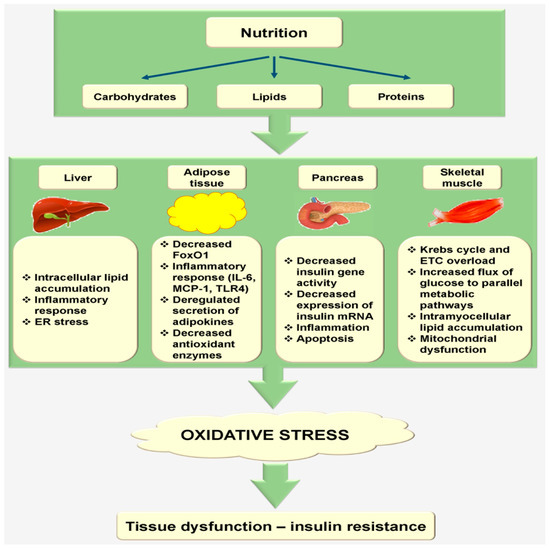 Correlation between Oxidative Stress, Nutrition, and Cancer