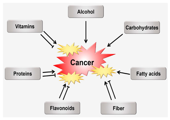 Correlation between Oxidative Stress, Nutrition, and Cancer Initiation Correlation between Oxidative Stress, Nutrition, and Cancer Initiation
