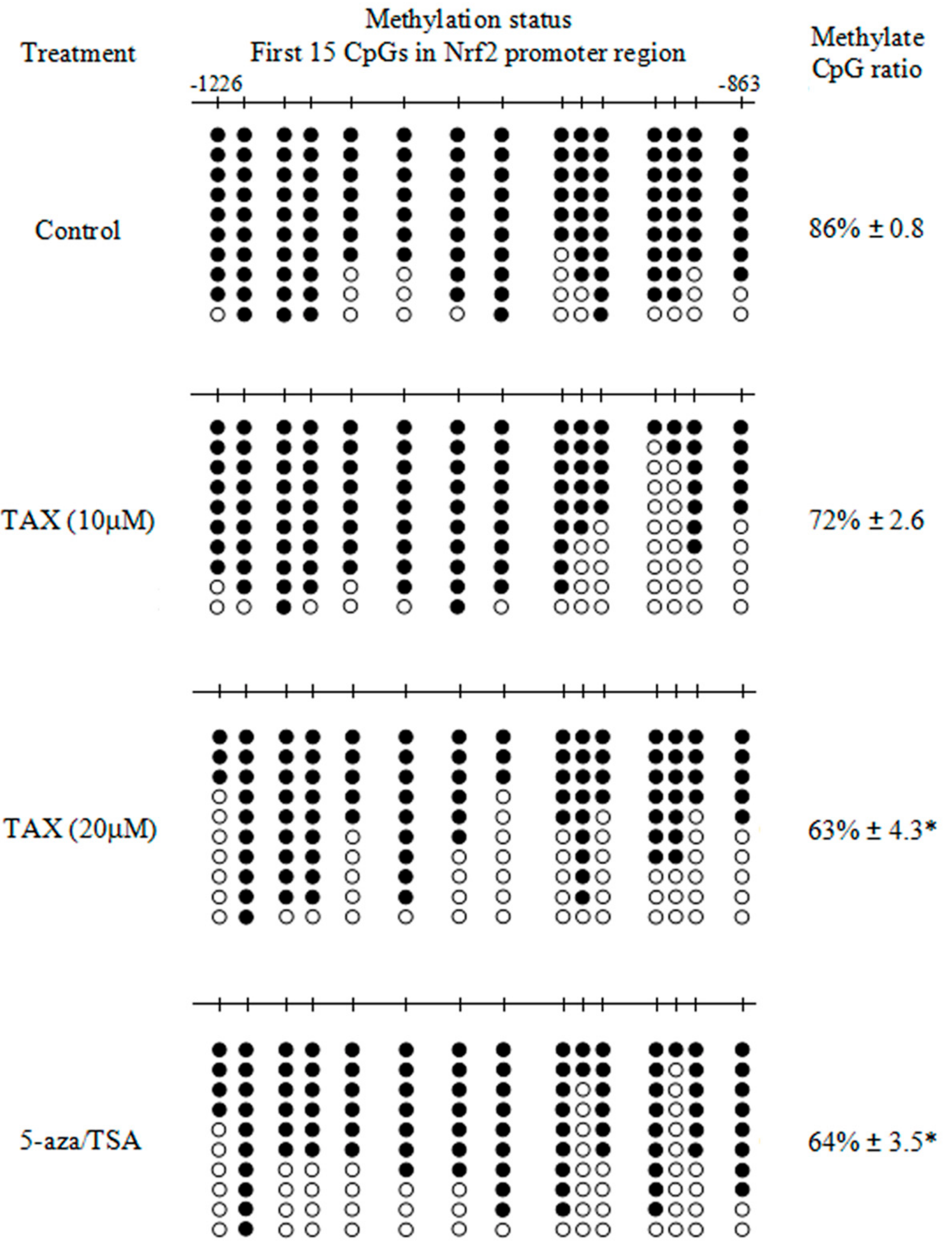 Ijms 18 01546 g006 550