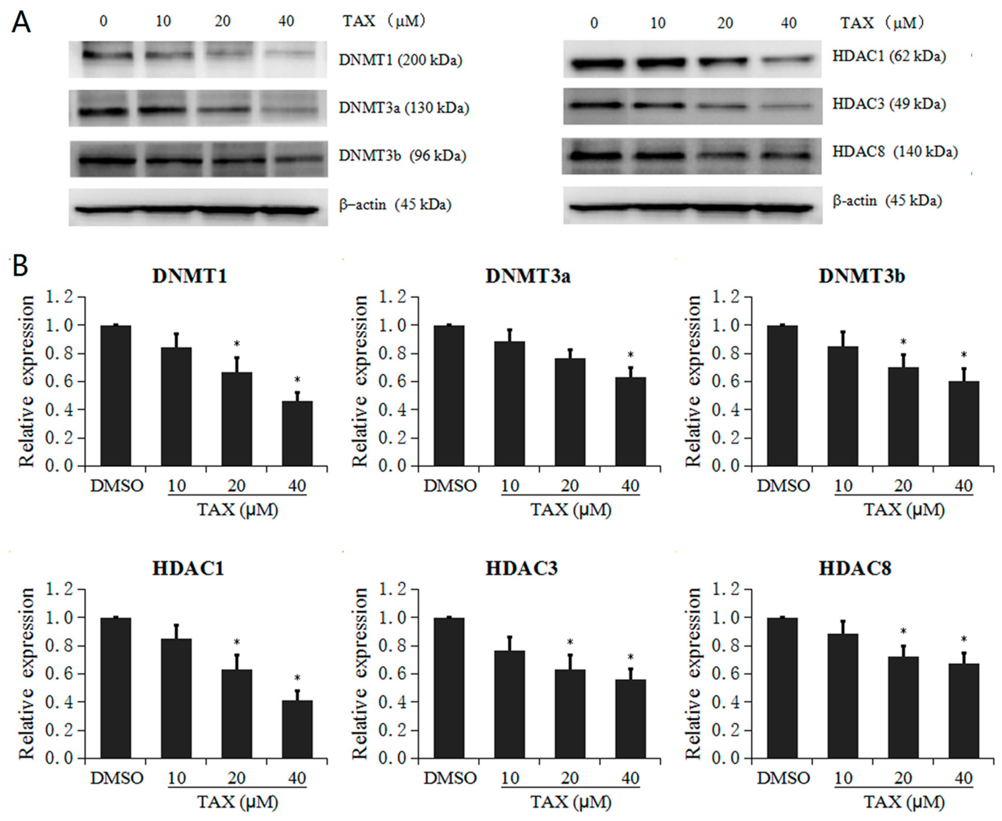 Ijms 18 01546 g007 550