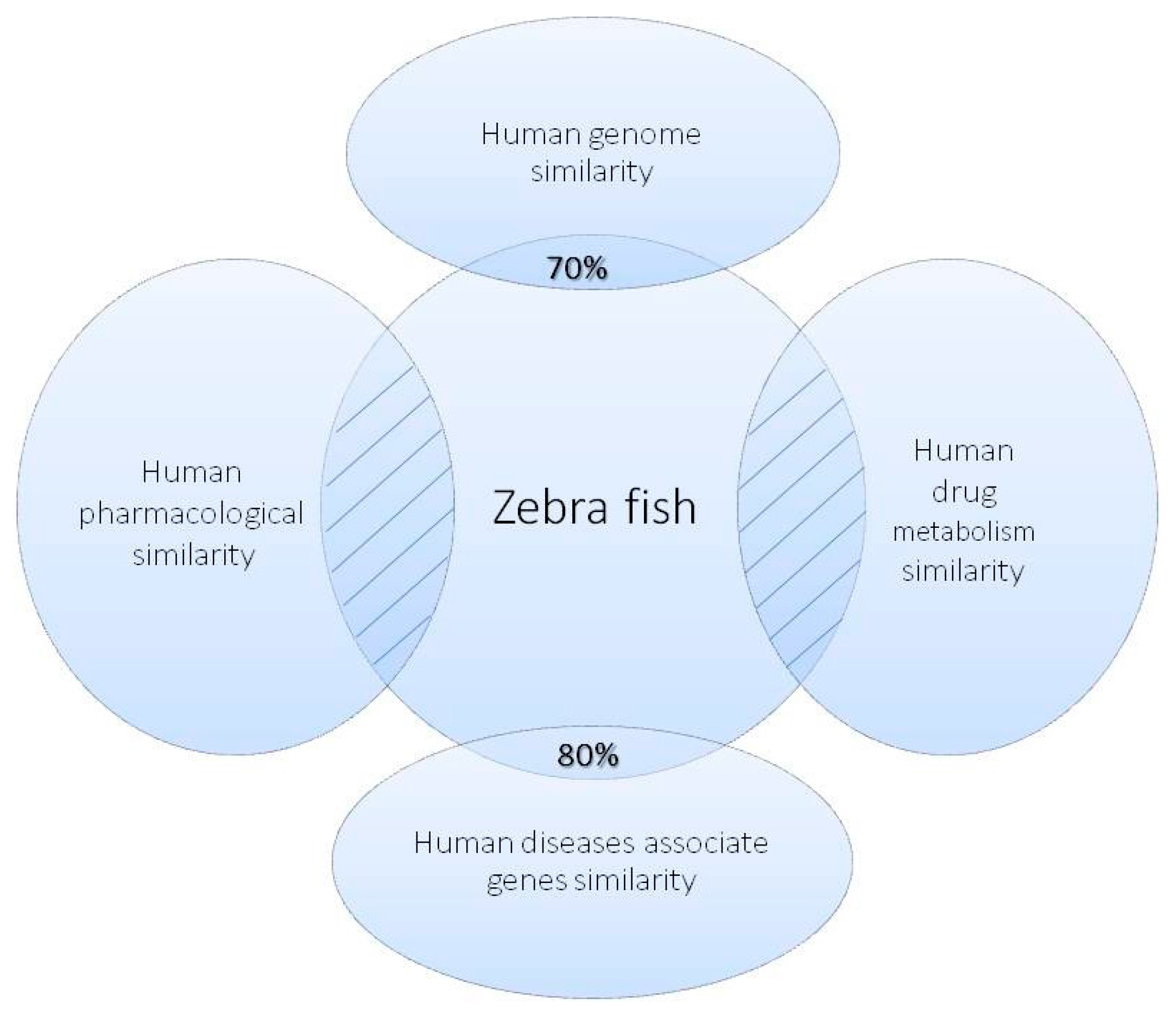 Zebrafish as a Model Organism for the Development of Drugs Zebrafish as a Model Organism for the Development of Drugs