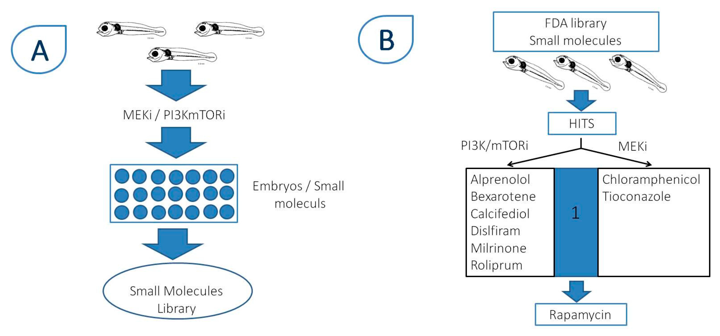 Ijms 18 01550 g004 Ijms 18 01550 g004