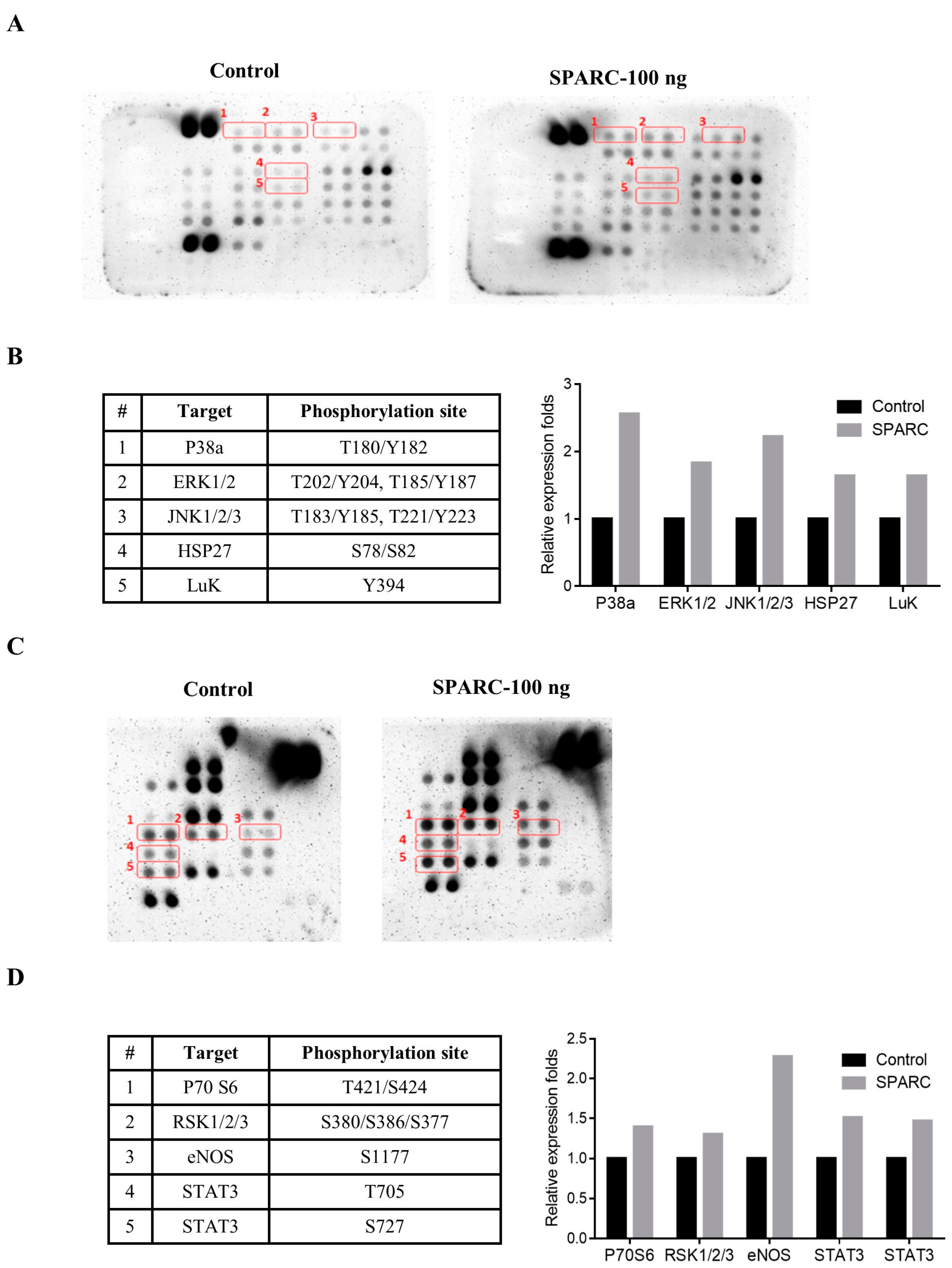 Ijms 18 01556 g004 550