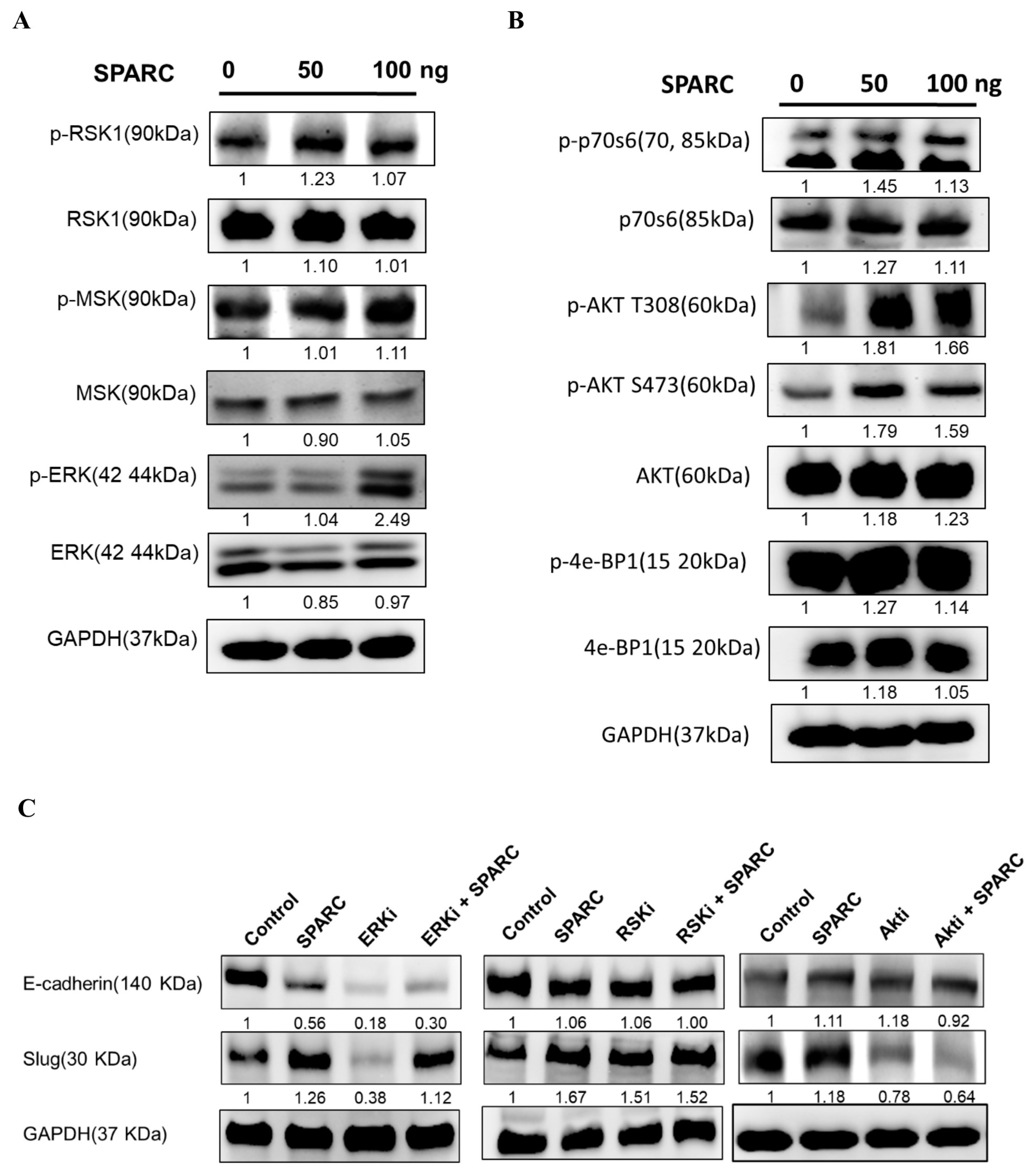 Ijms 18 01556 g005 550