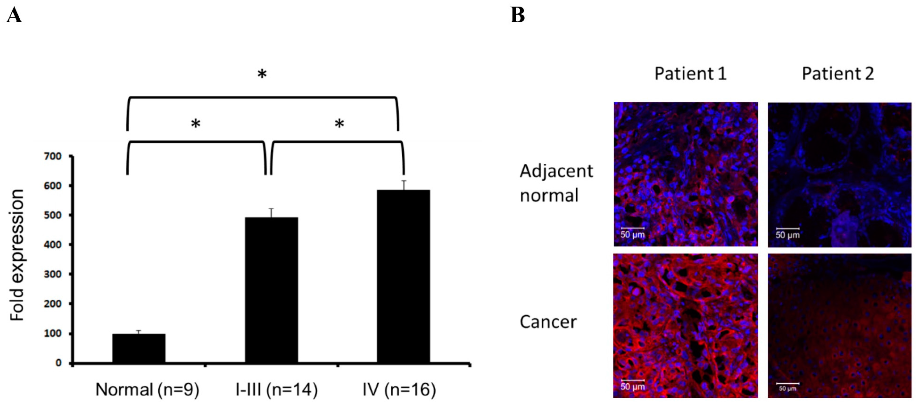 Ijms 18 01556 g006 550